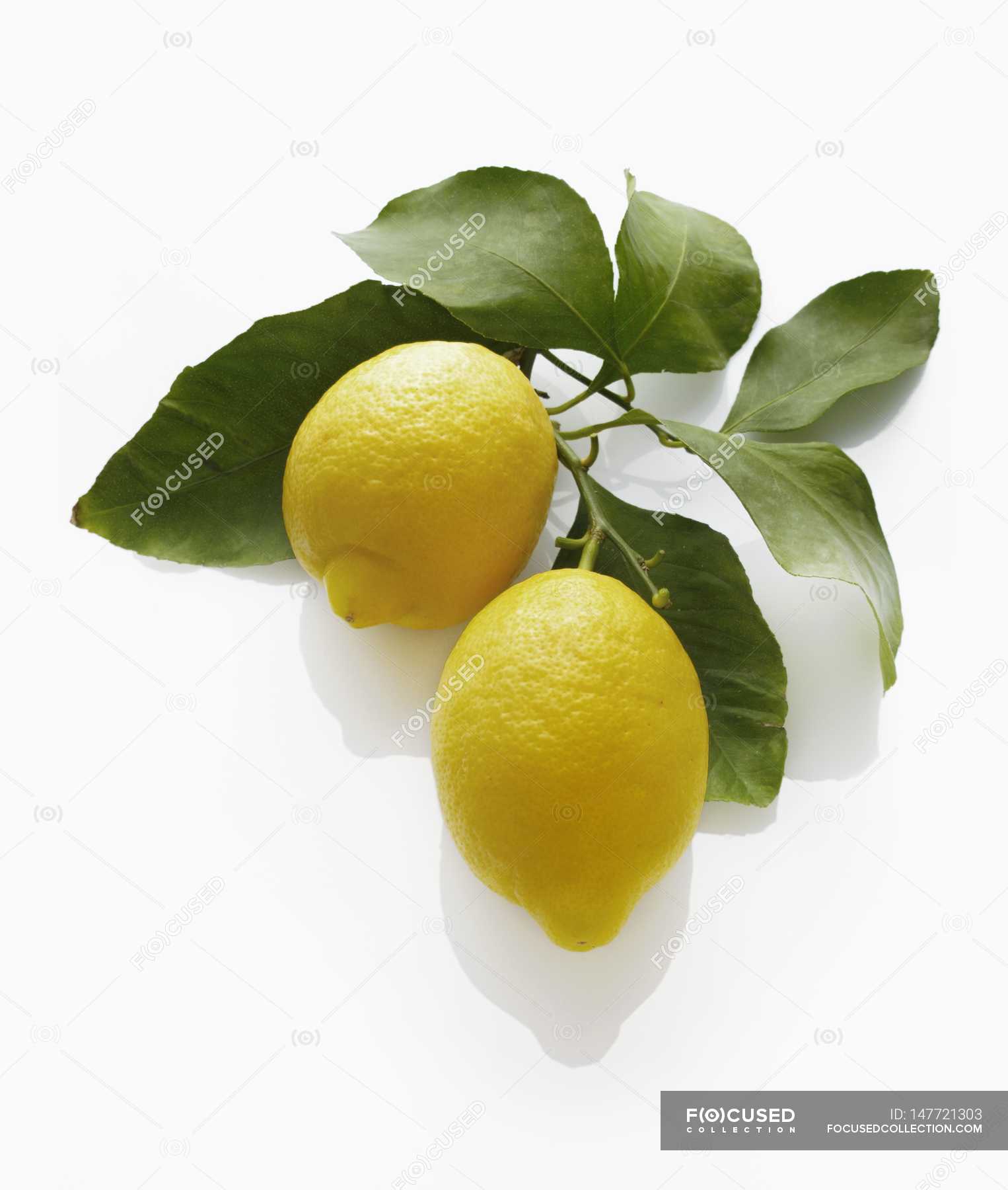 Fresh lemons with leaves — Stock Photo | #147721303