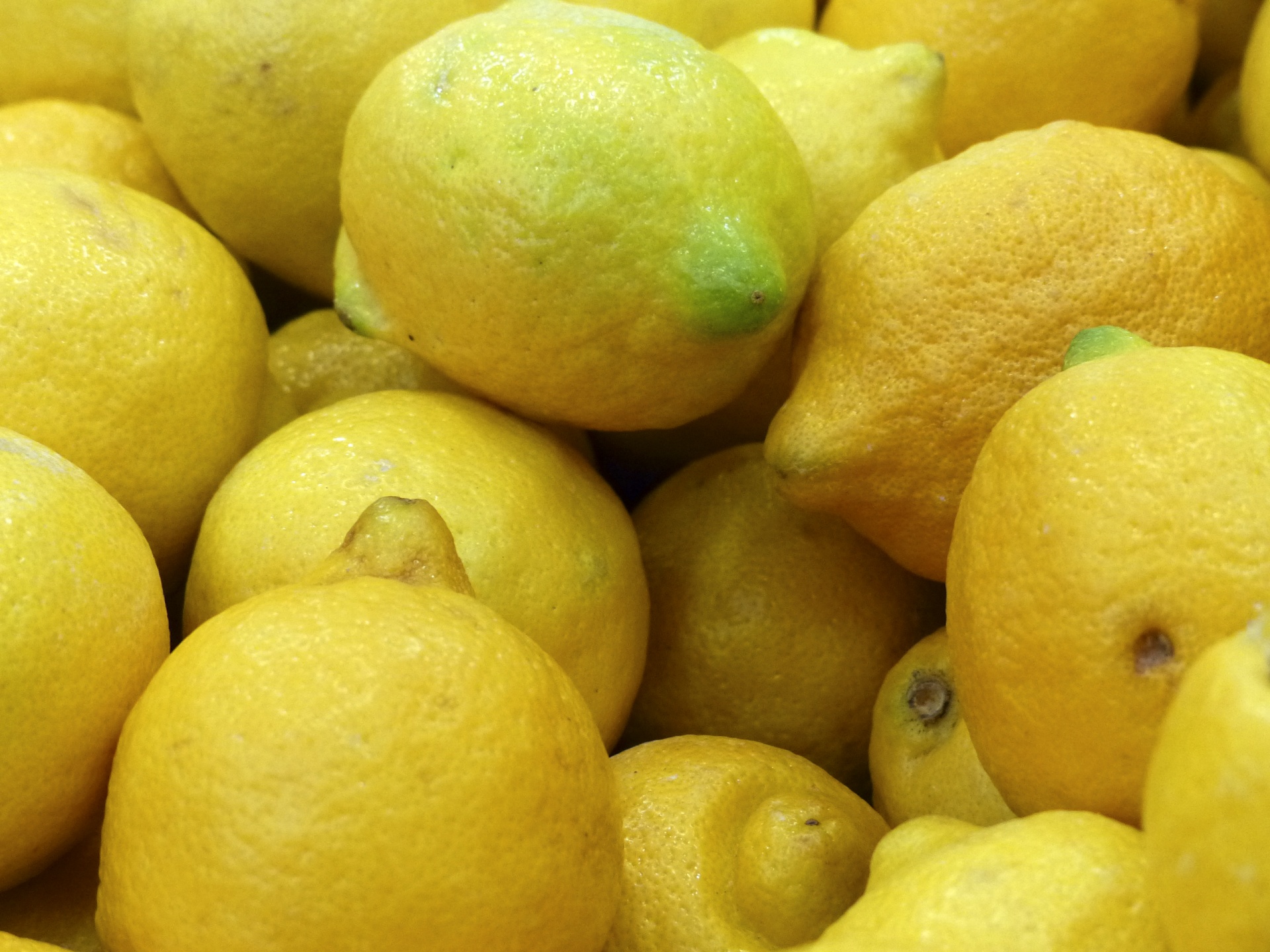 Fresh Lemons Free Stock Photo - Public Domain Pictures