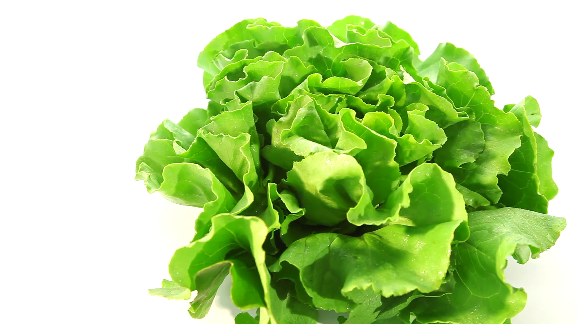 Fresh green salad lettuce Stock Video Footage - Videoblocks