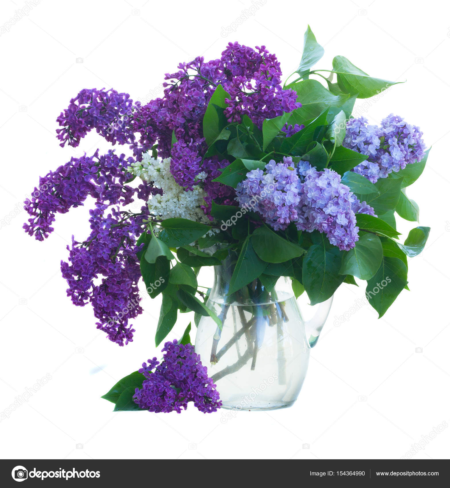 Fresh lilac flowers — Stock Photo © Neirfys #154364990