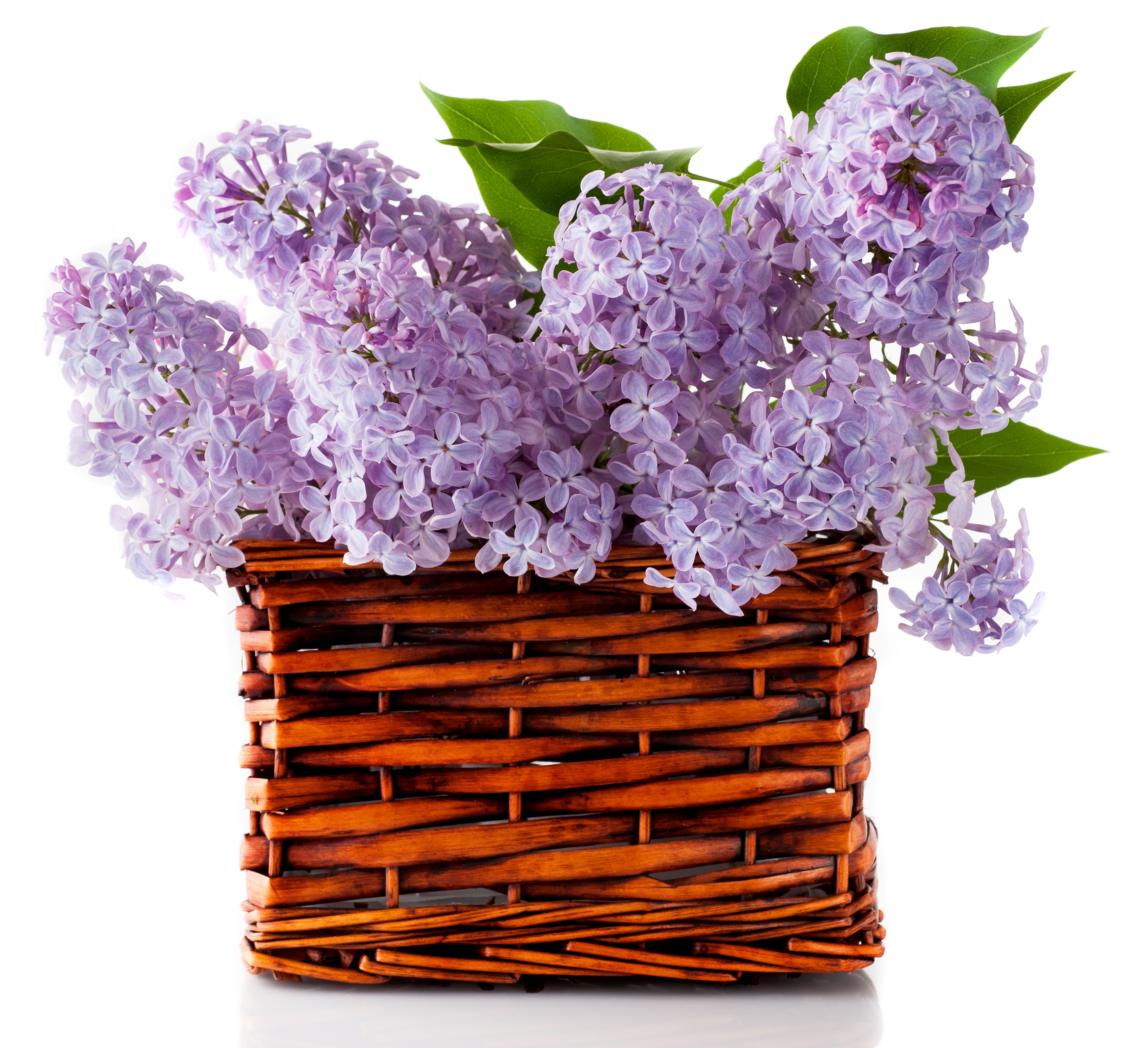 Flowers: Fresh Flowers Lilac Spring Basket Lilacs Wallpaper Flower ...