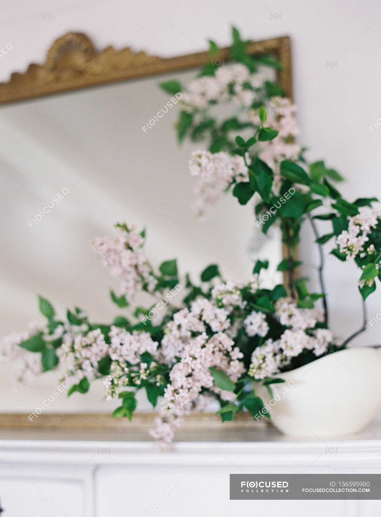Fresh lilac flowers in vase — Stock Photo | #156595980