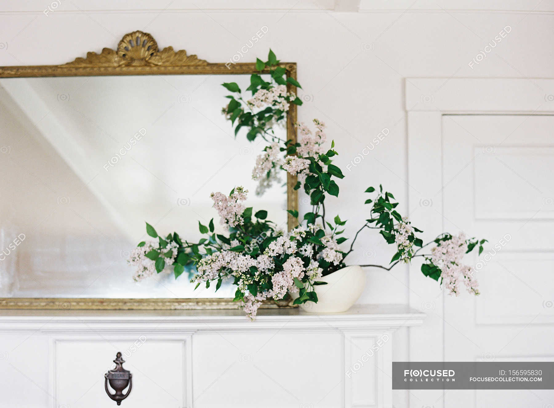 Fresh lilac flowers in vase — Stock Photo | #156595830