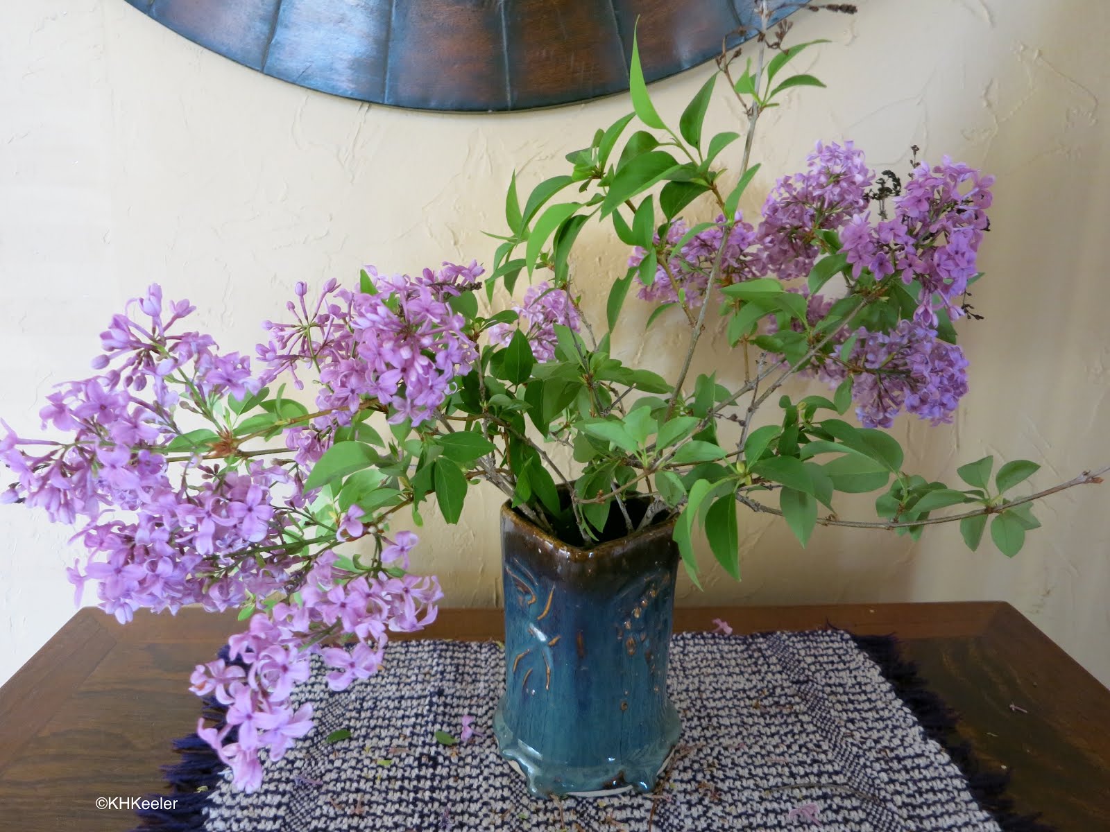 A Wandering Botanist: Plant Story--Lovely Lilacs