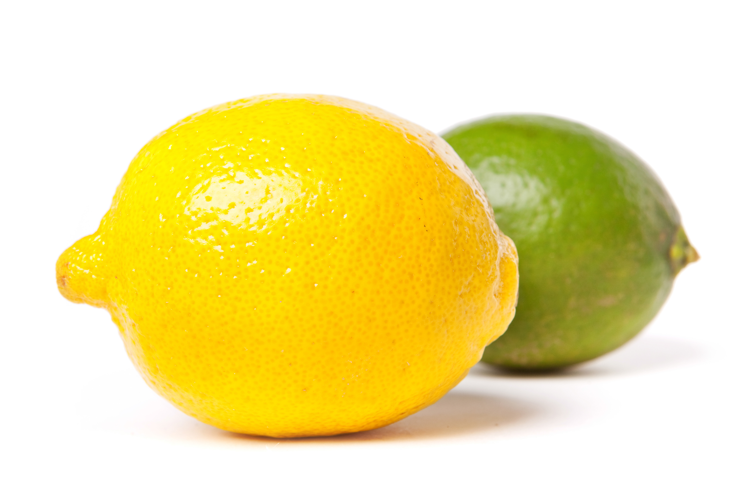Fresh lime and lemon photo
