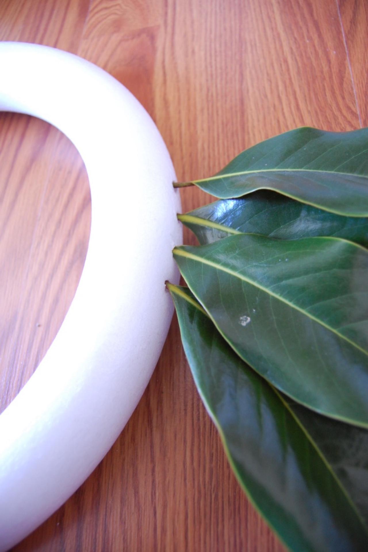 How to Make a Fresh Magnolia Wreath DIY | DIY Network Blog: Made + ...
