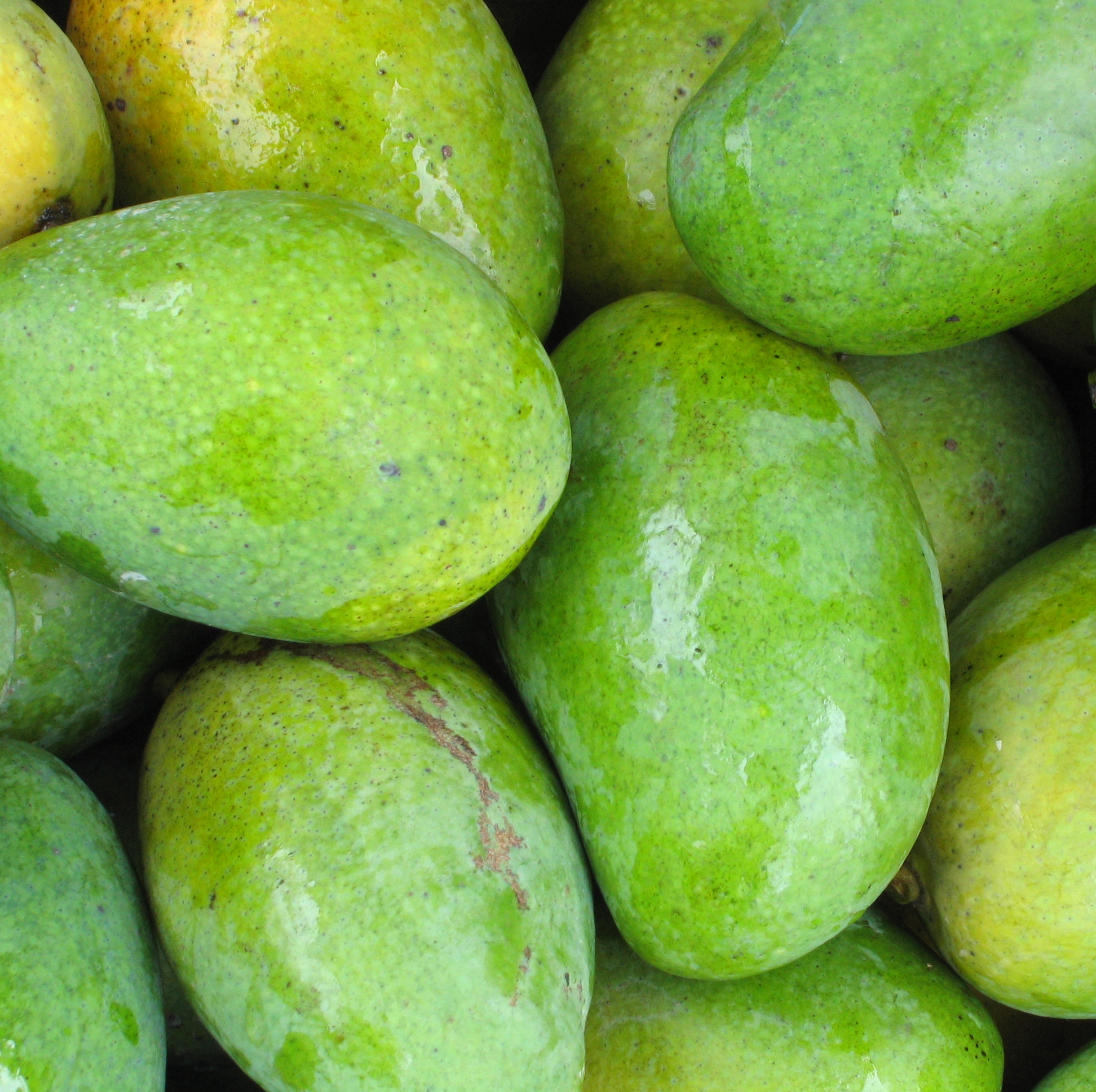 Fresh mangoes photo