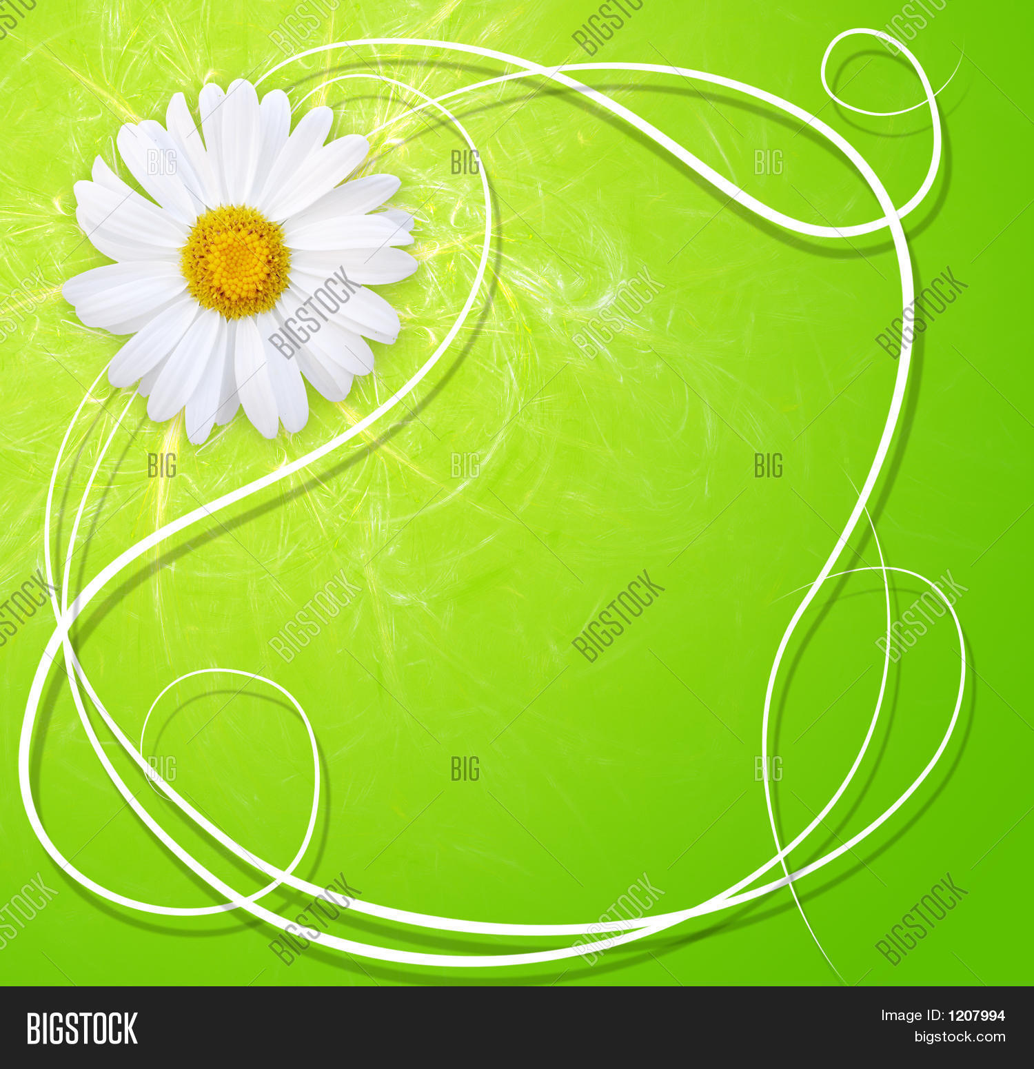 PowerPoint Template: Fresh spring background with marguerite (bcaxzze)