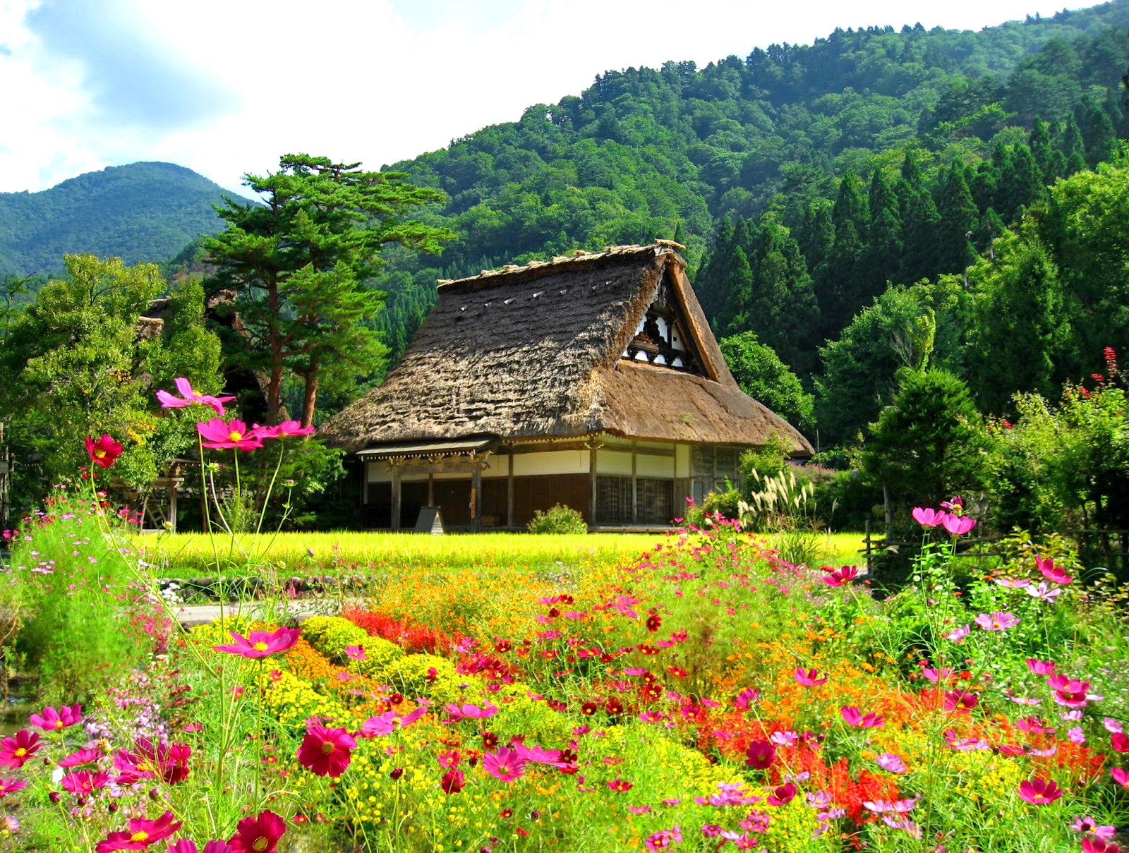 Forests: Summer Beautiful Spring Freshness Nature Barn Cabin Cottage ...