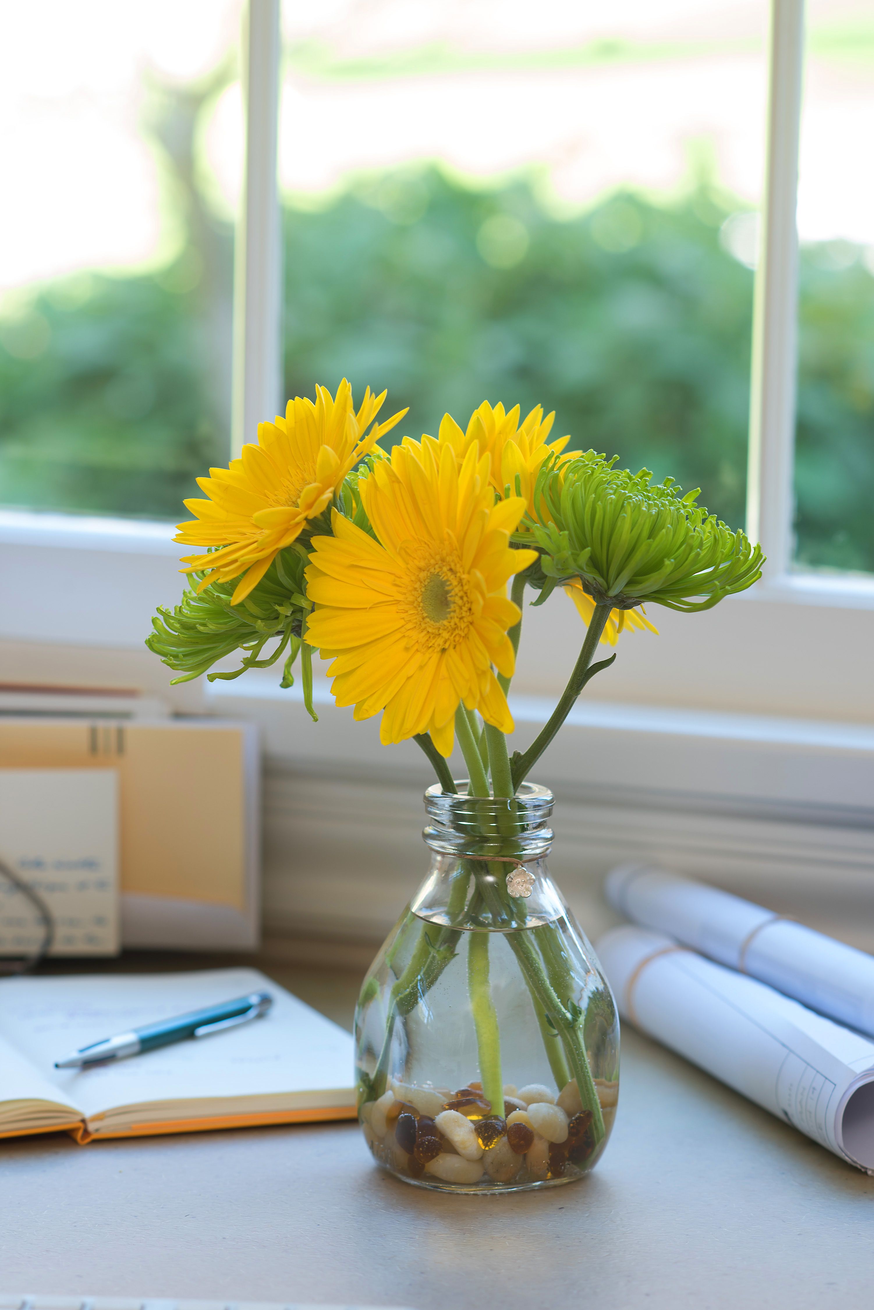 Spider Mums and Gerbera Daisies in a Figgy Twig | Fresh Flower ...