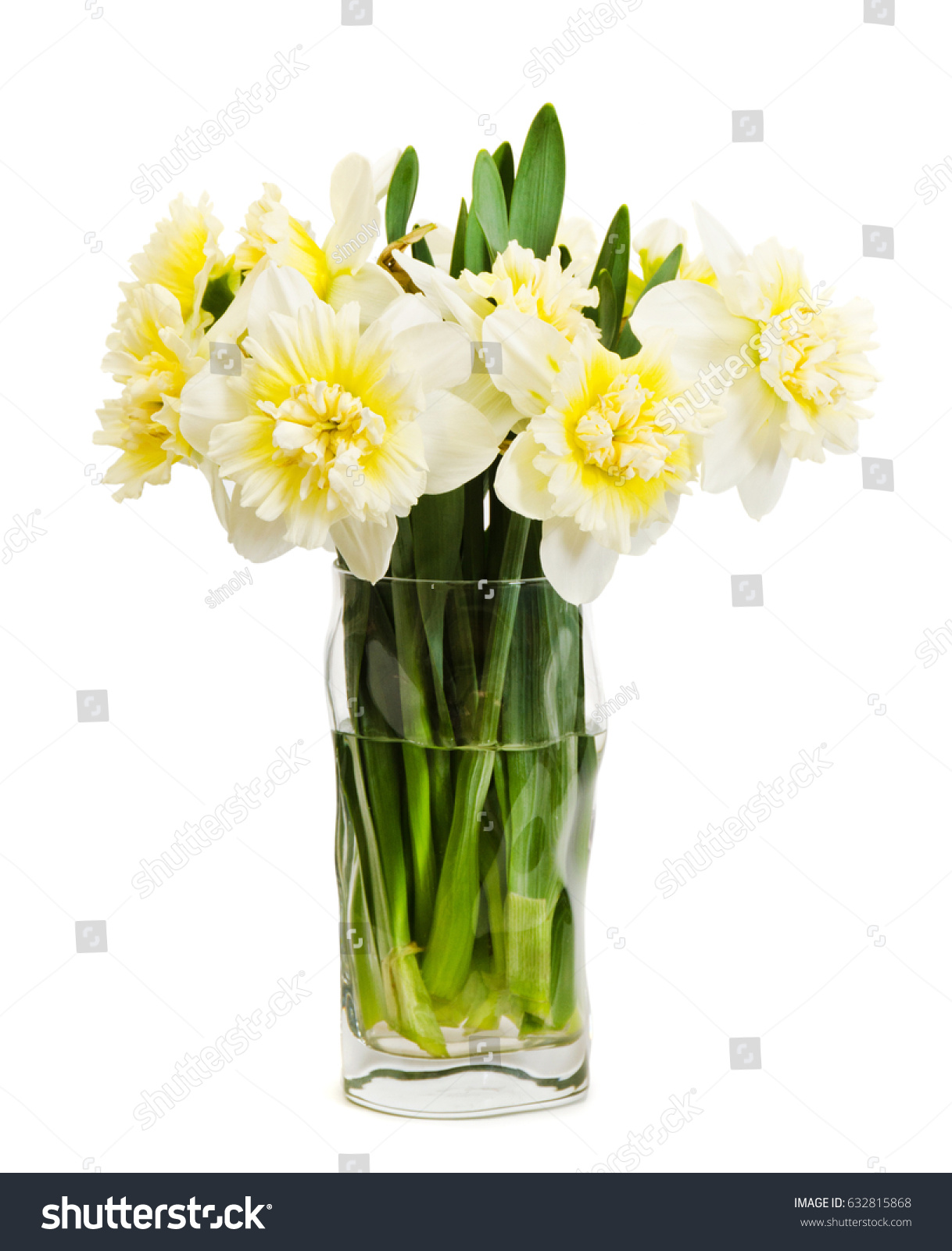 Beautiful Bouquet Fresh Narcissus Isolated On Stock Photo 632815868 ...