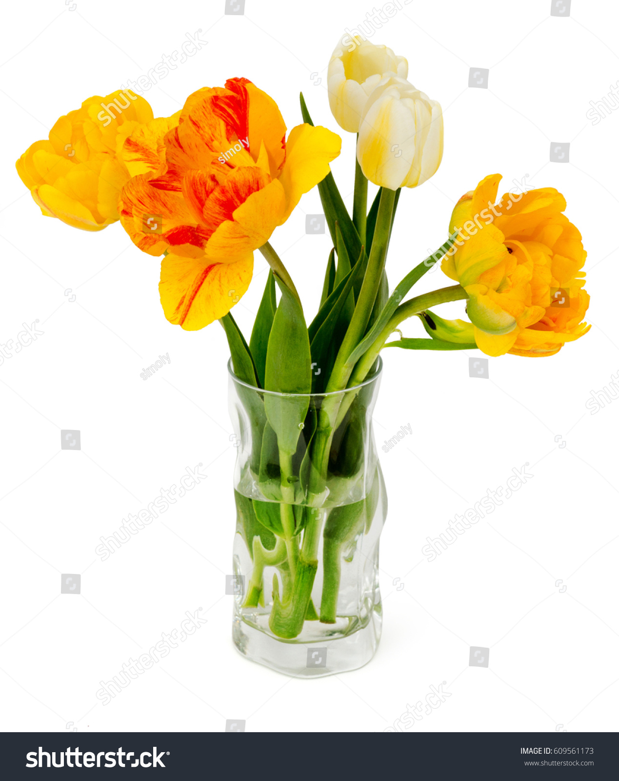 Beautiful Bouquet Fresh Narcissus Tulips Isolated Stock Photo ...