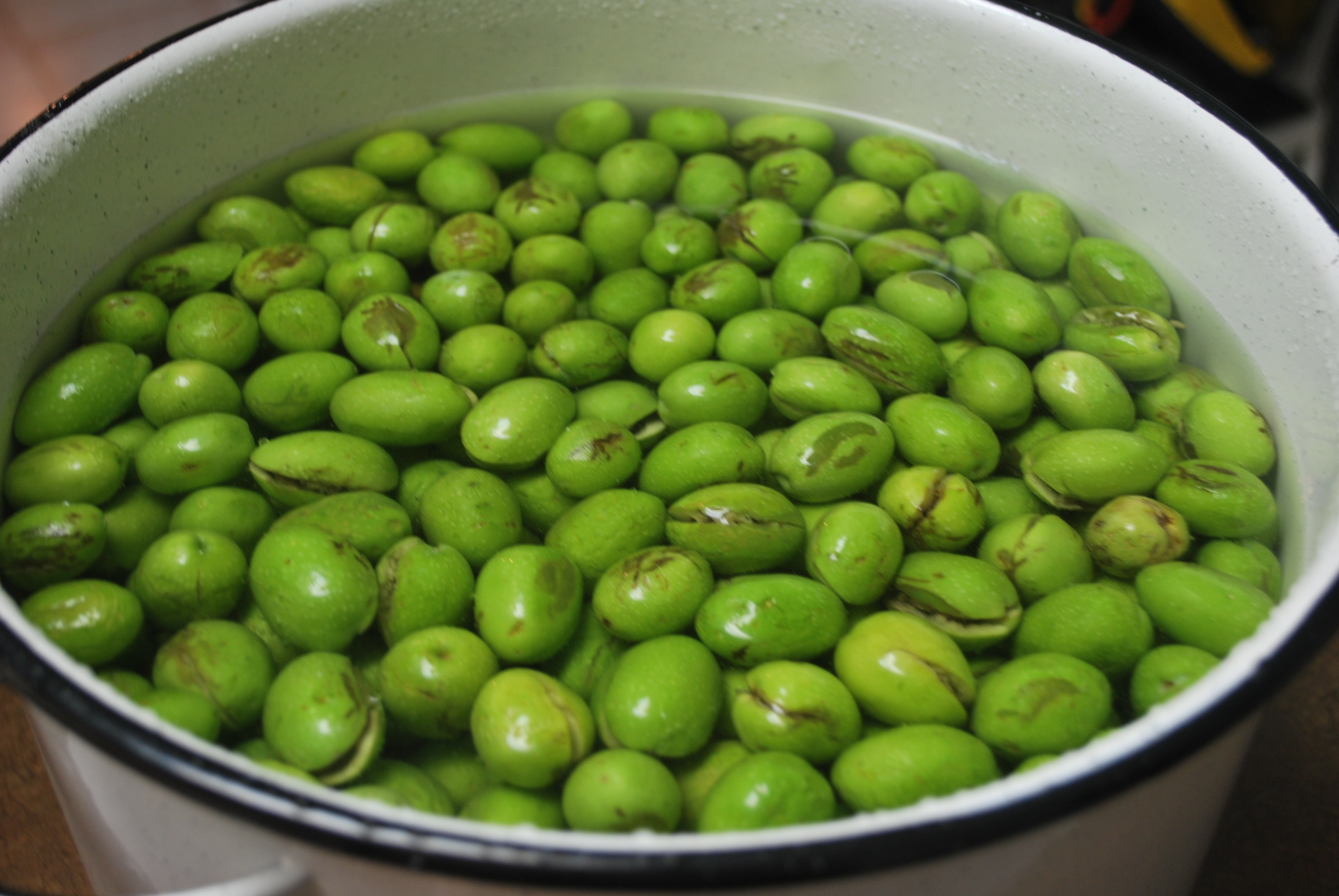 Italian Homemade Green Olives