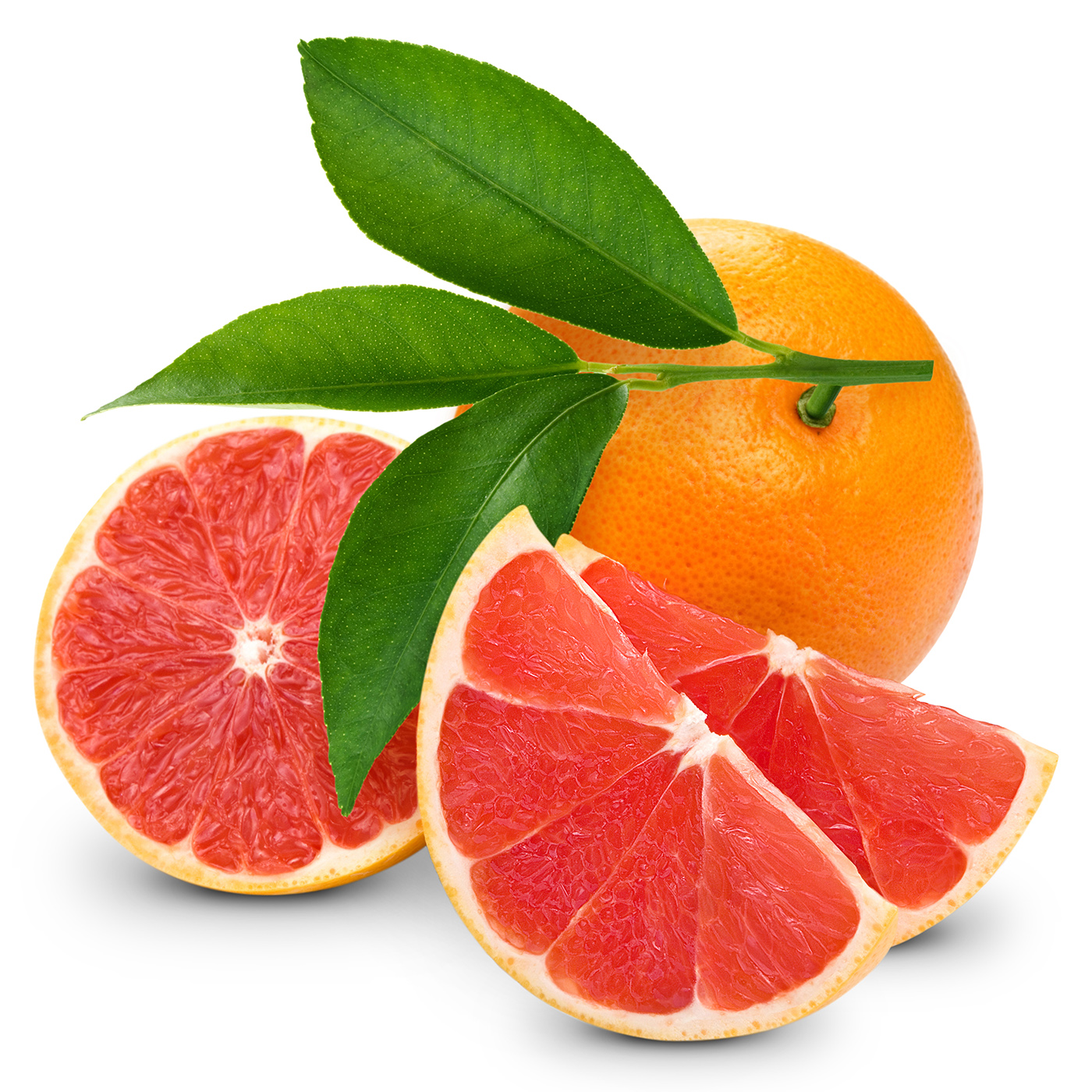 Fresh oranges cut 50716 - Fruits and vegetables - Harvest season