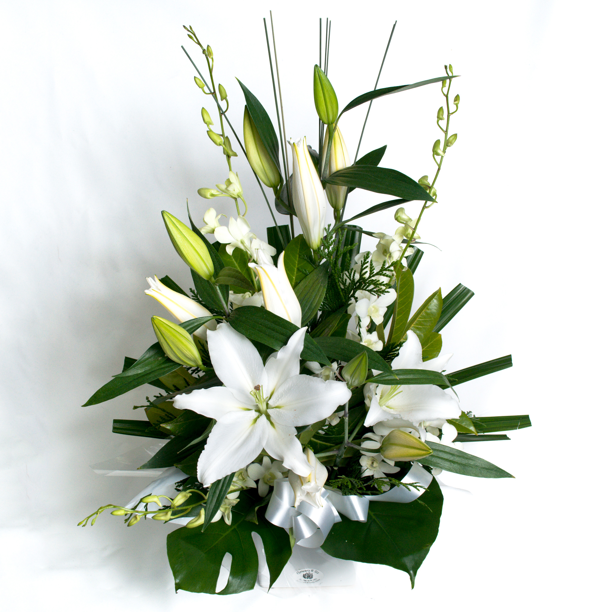 White Box Arrangement White Lillies & Orchids | Flowers R Us