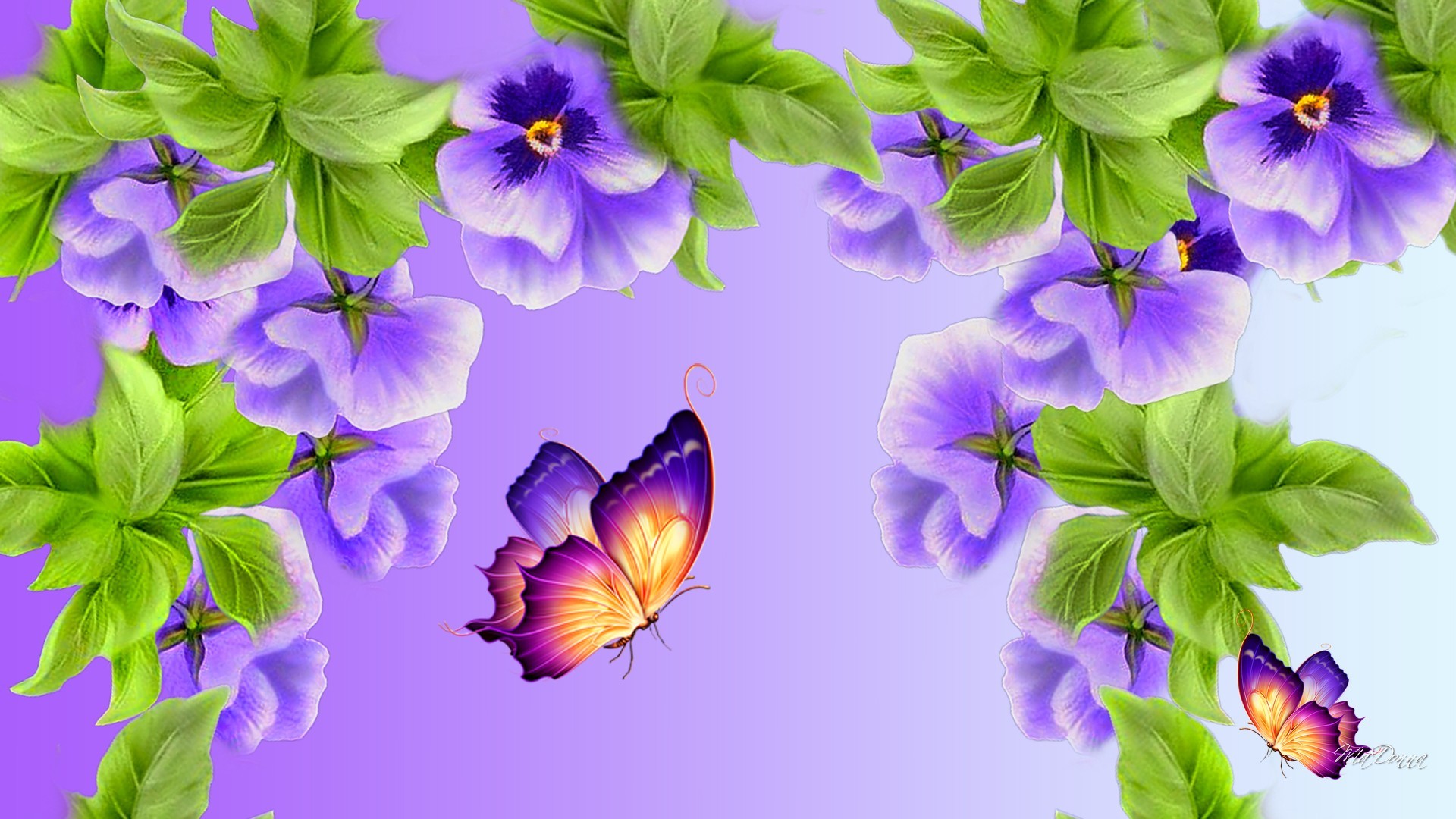Flowers: Violet Pansies Fresh Pansy Butterfly Flowers Lavender ...