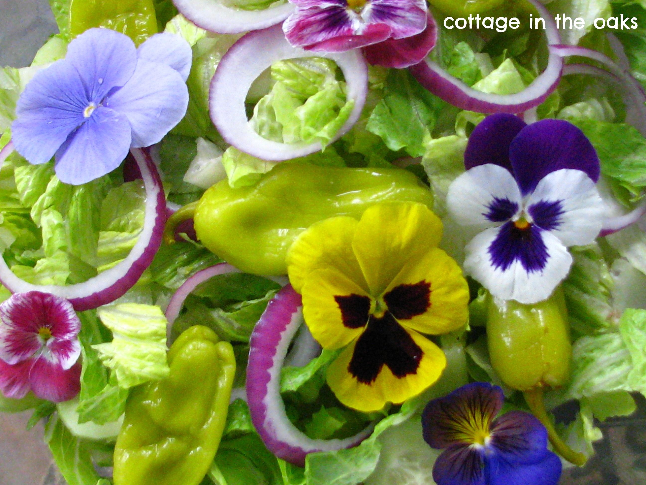 Pansies in Our Salad | Edible flowers, Pansies and Salad