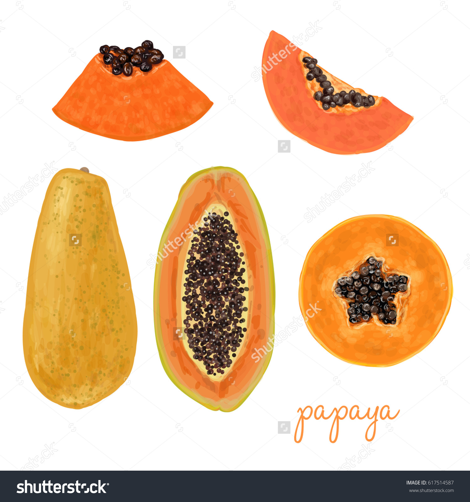 Hand drawn delicious papaya watercolor, papaya, fruit, color ...