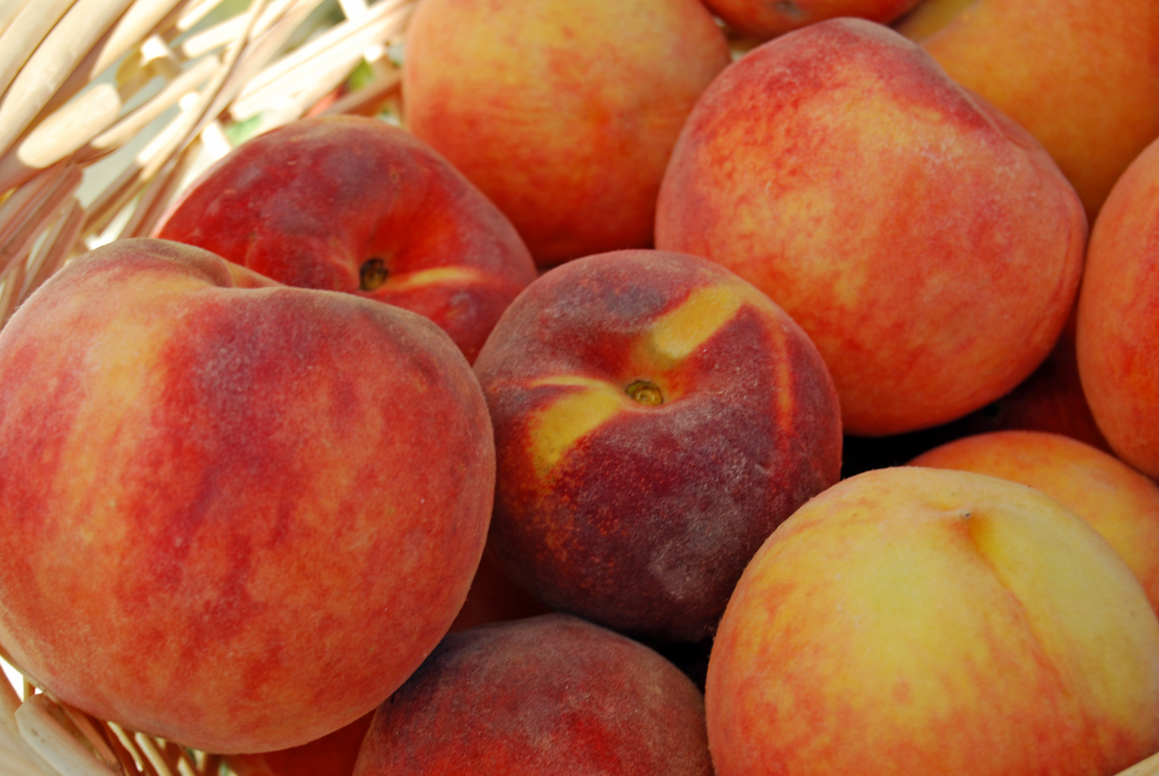 Fresh Peaches – The Slice Is Right | Cook It Quick!