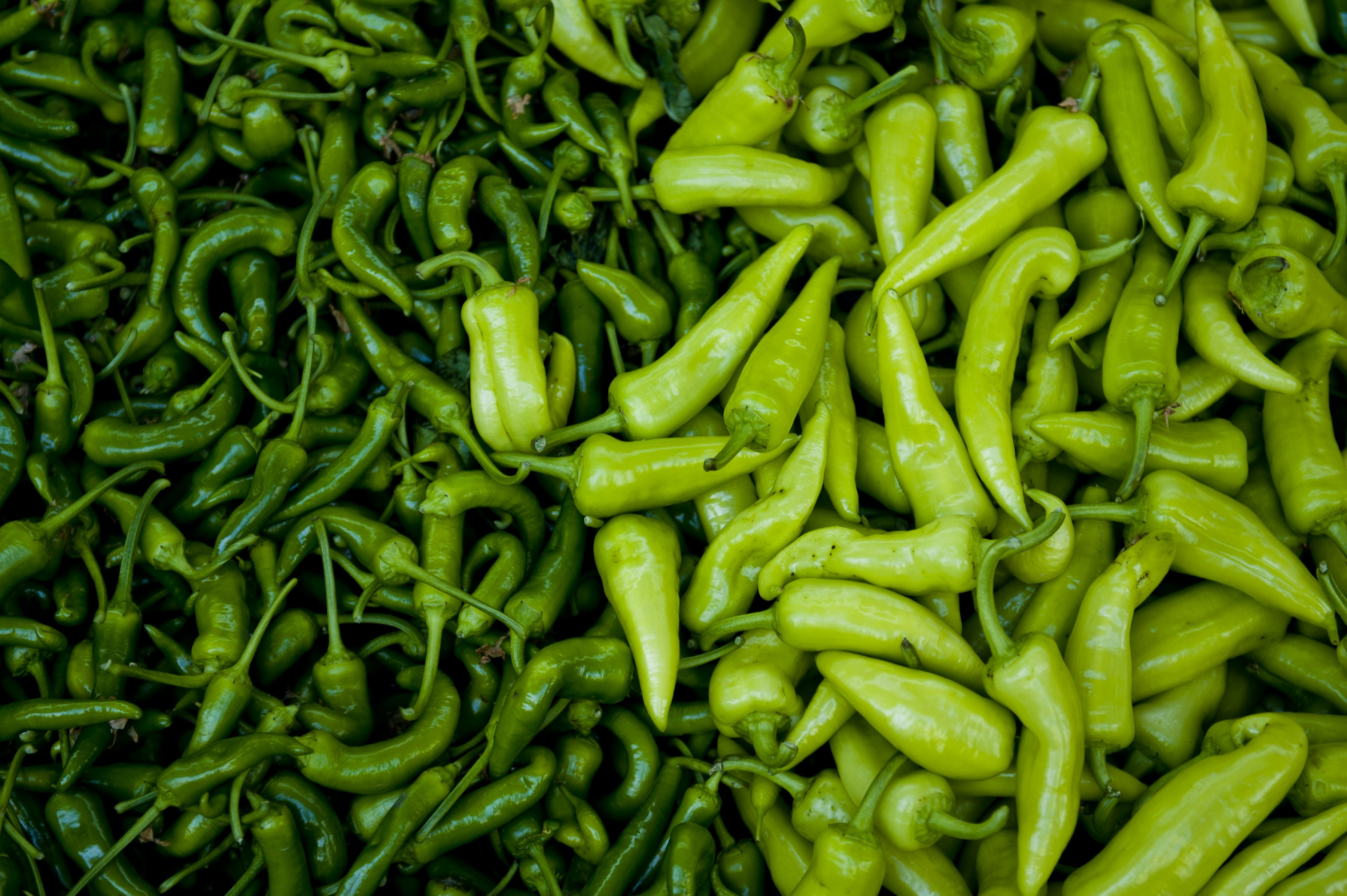 Fresh peppers photo