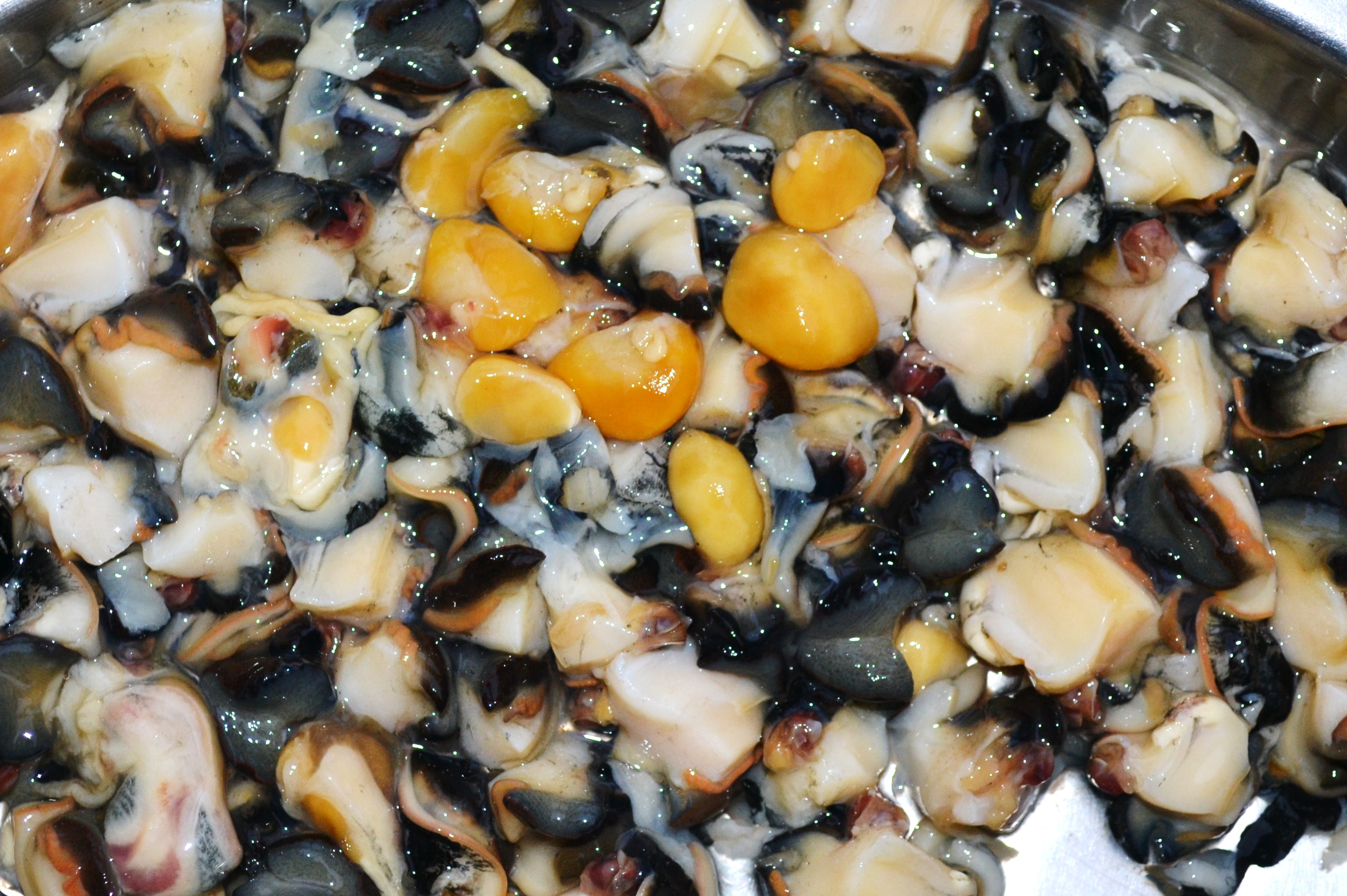 File:Meat extracted from fresh water periwinkle snail.jpg ...