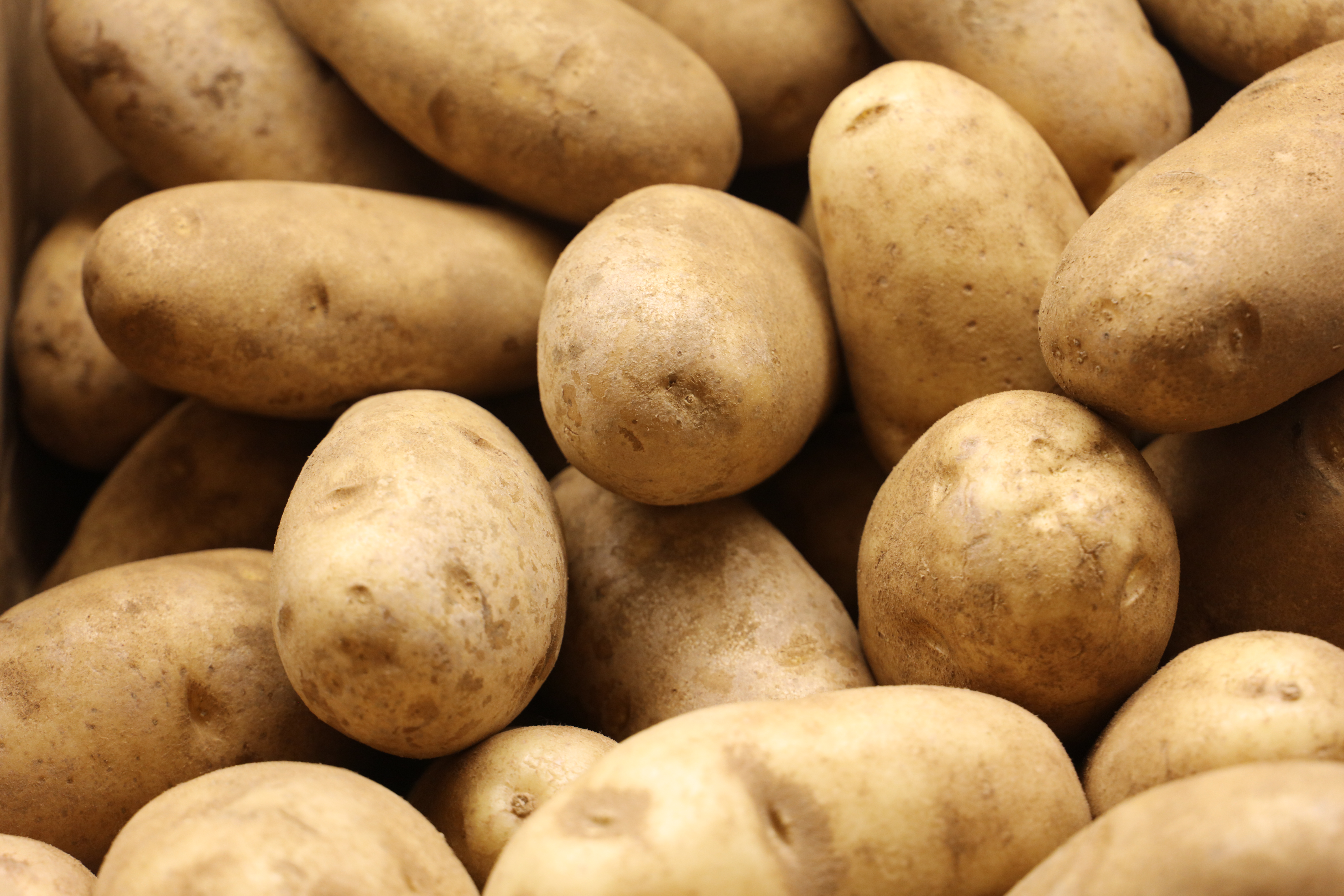 U.S. potato exports set record in 2017 | Packer