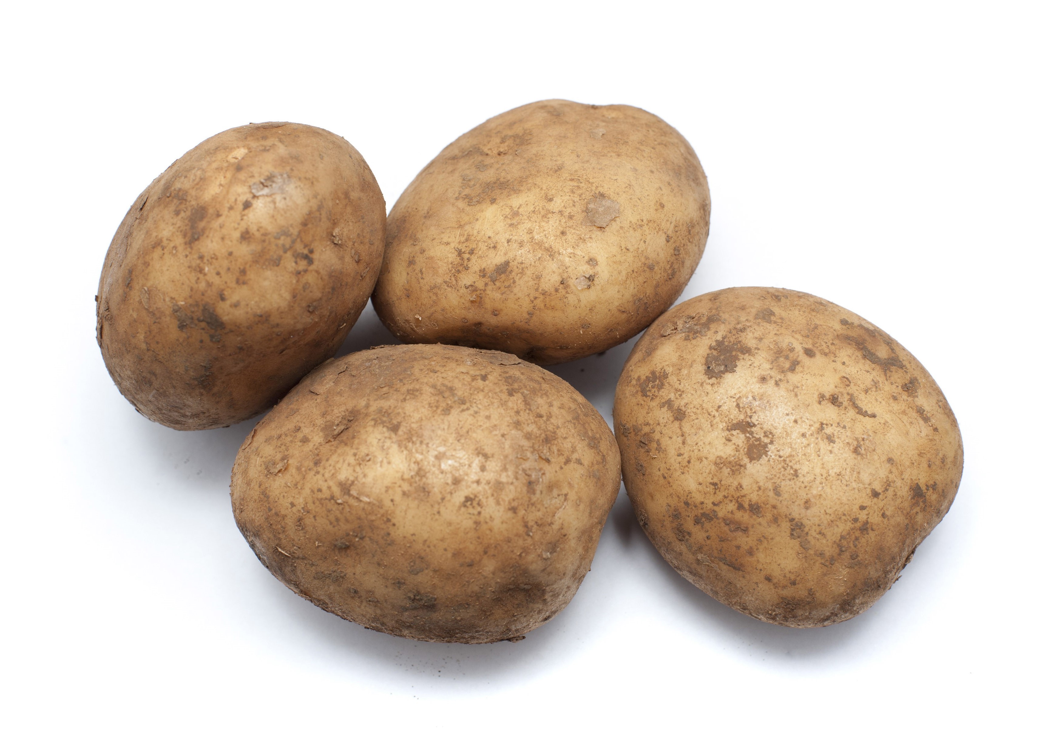 Fresh uncleaned potatoes - Free Stock Image