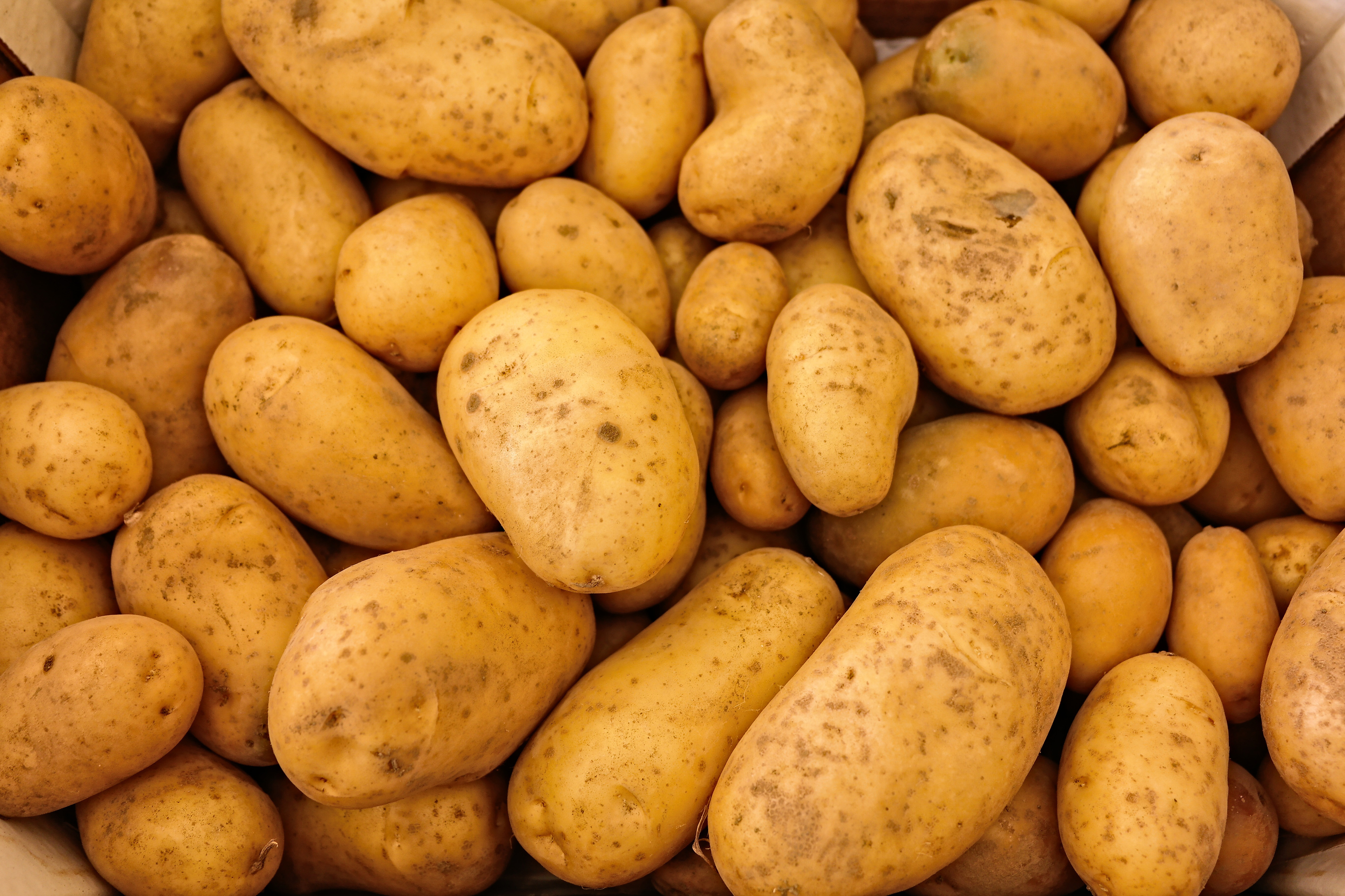 Fresh Potatoes Free Photo – Foodie Factor