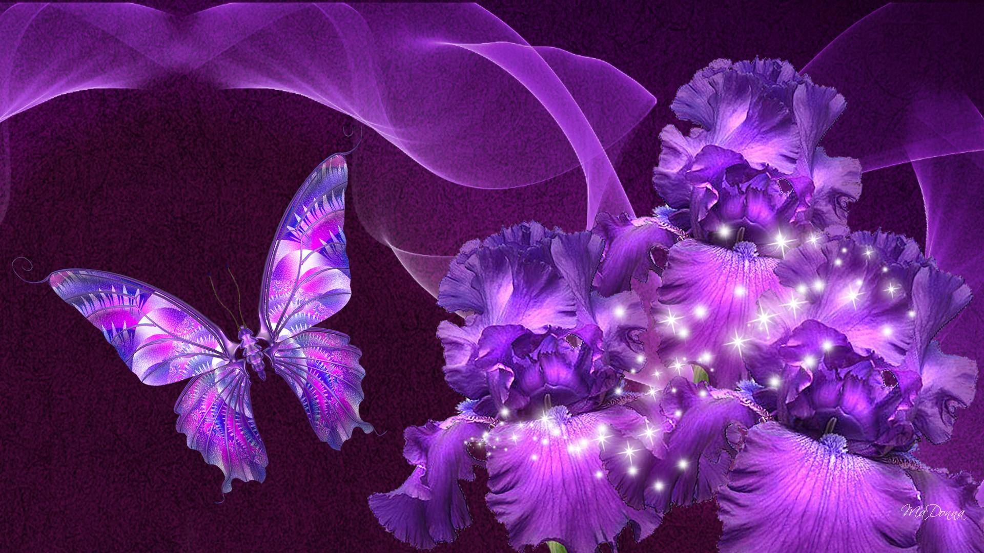 Beautiful Purple Flowers wallpaper - 1405177