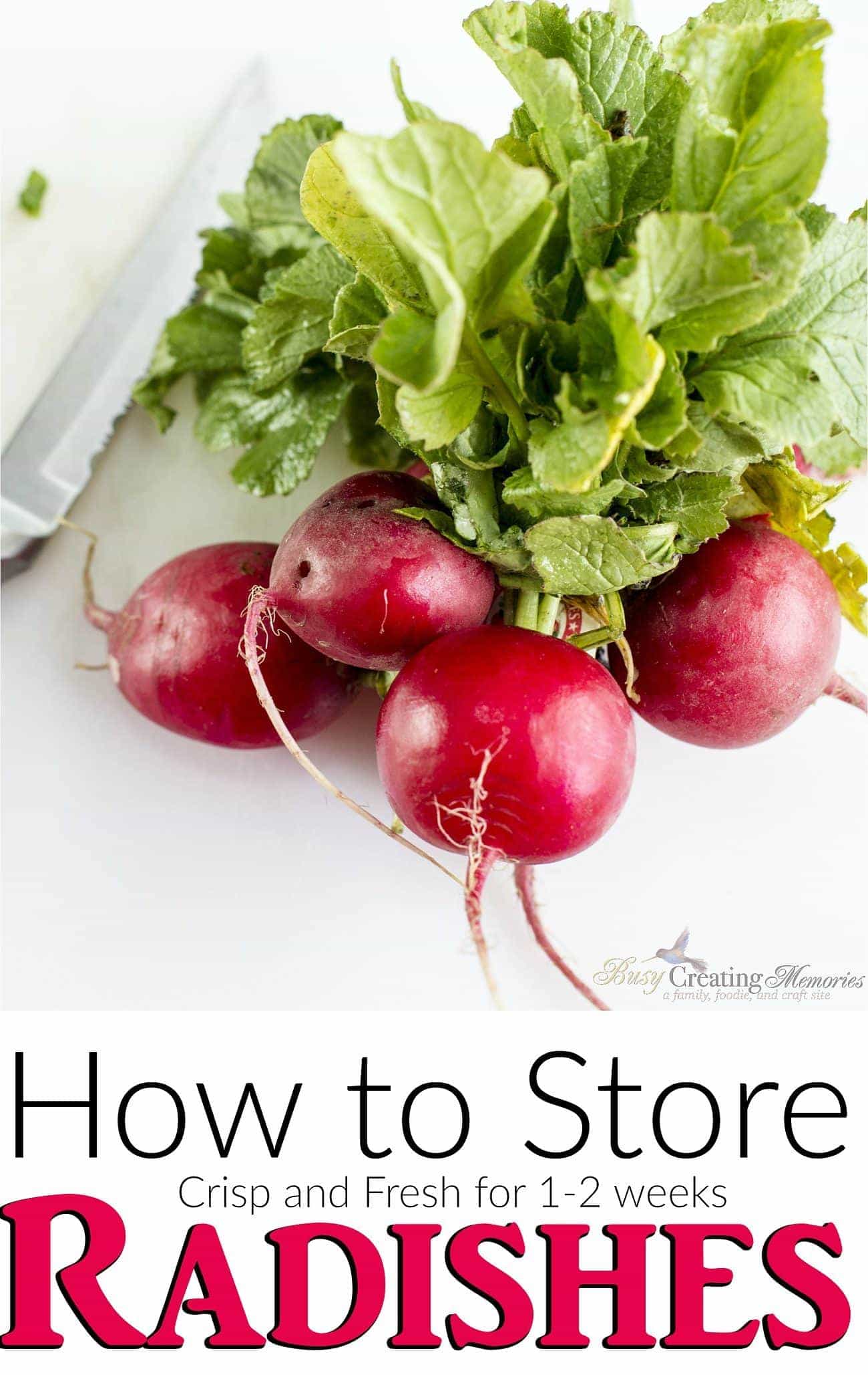 How to Store Radishes to keep them Fresh and Crisp.
