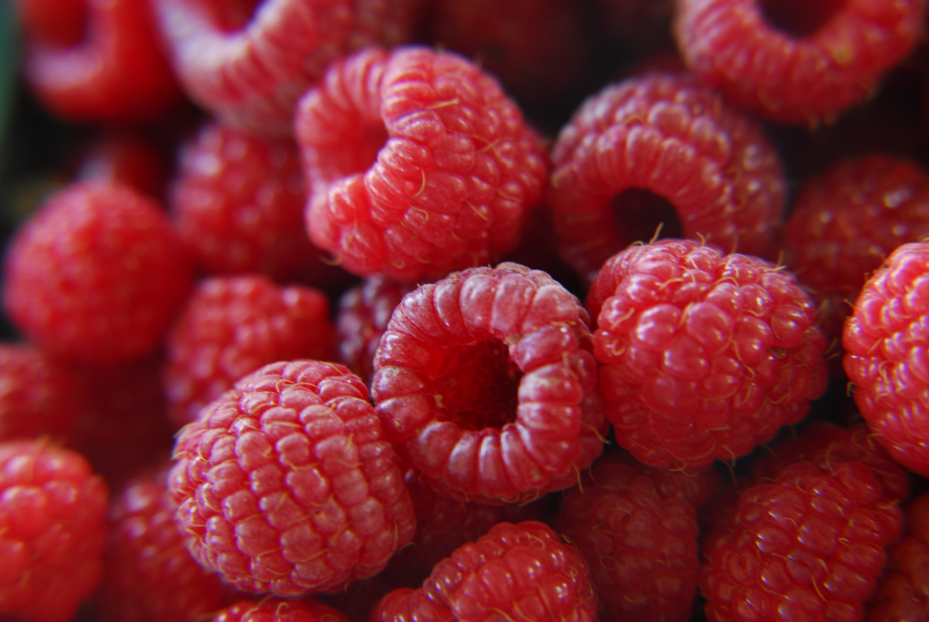 File:Fresh raspberries (272567650).jpg - Wikimedia Commons