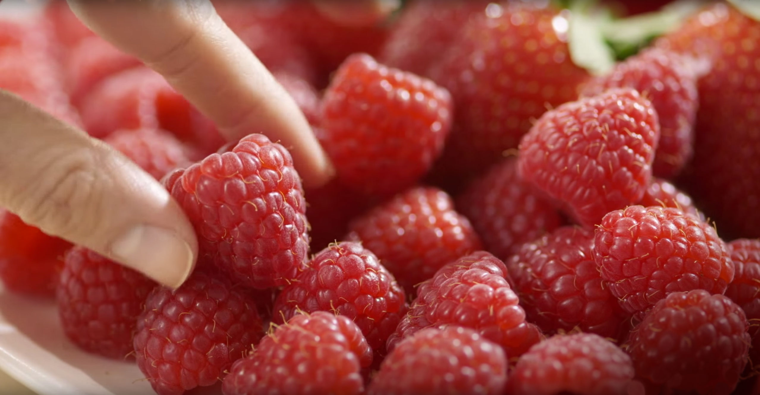 Raspberries & Organic Raspberries | Driscoll's