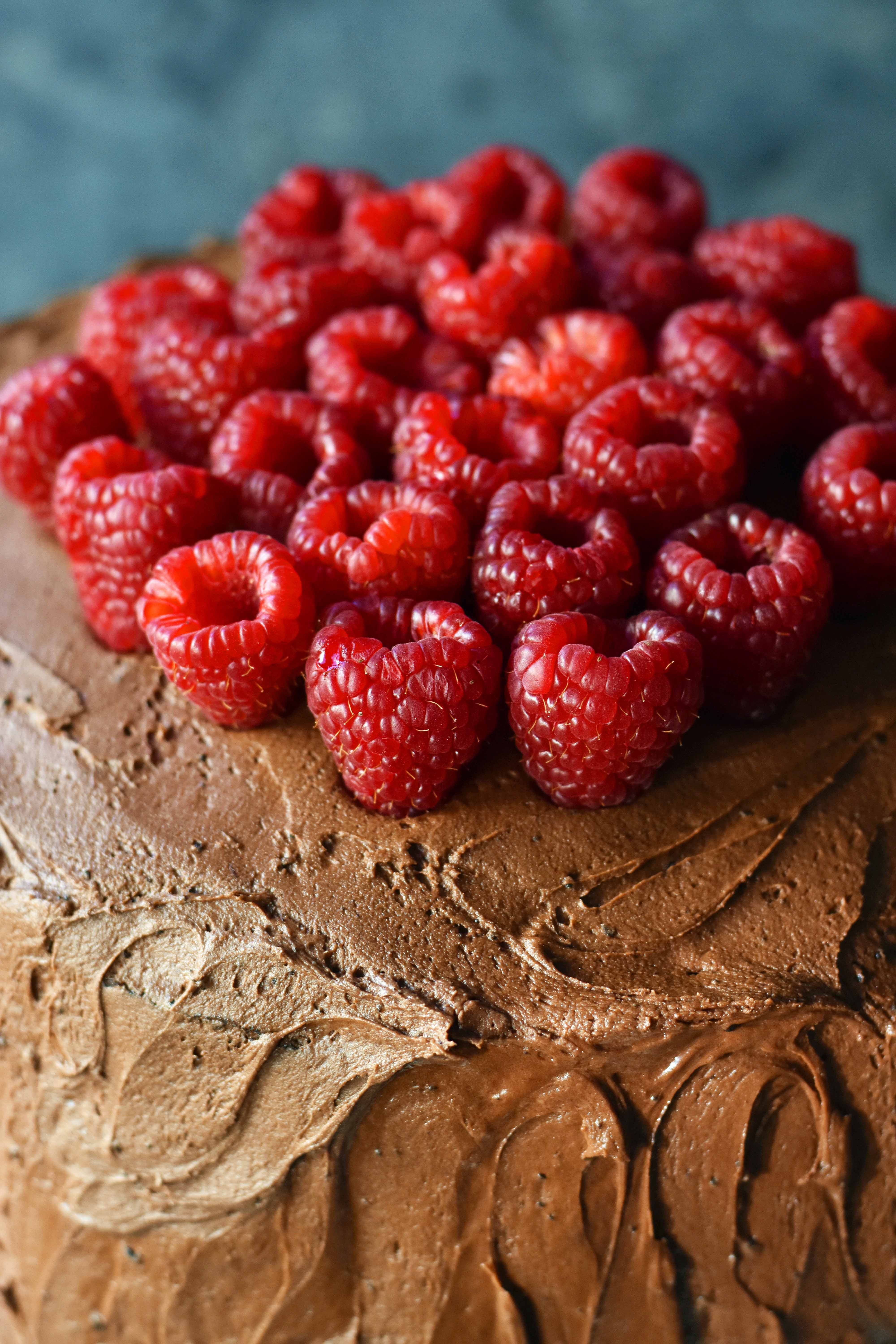 Chocolate Raspberry Cake | Modern Honey