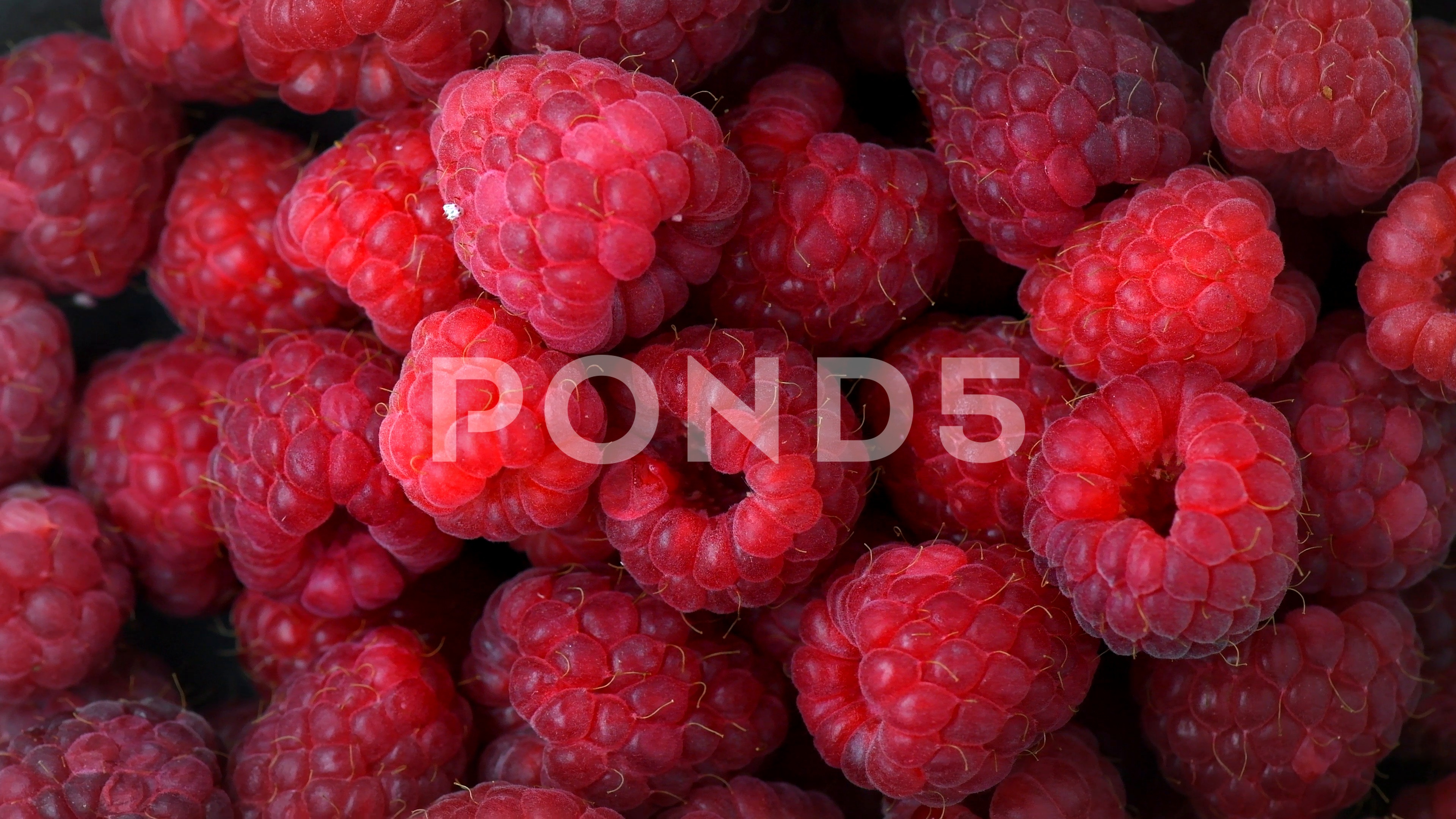 Raspberries. Fresh and juicy raspberry background ~ Hi Res #77429526