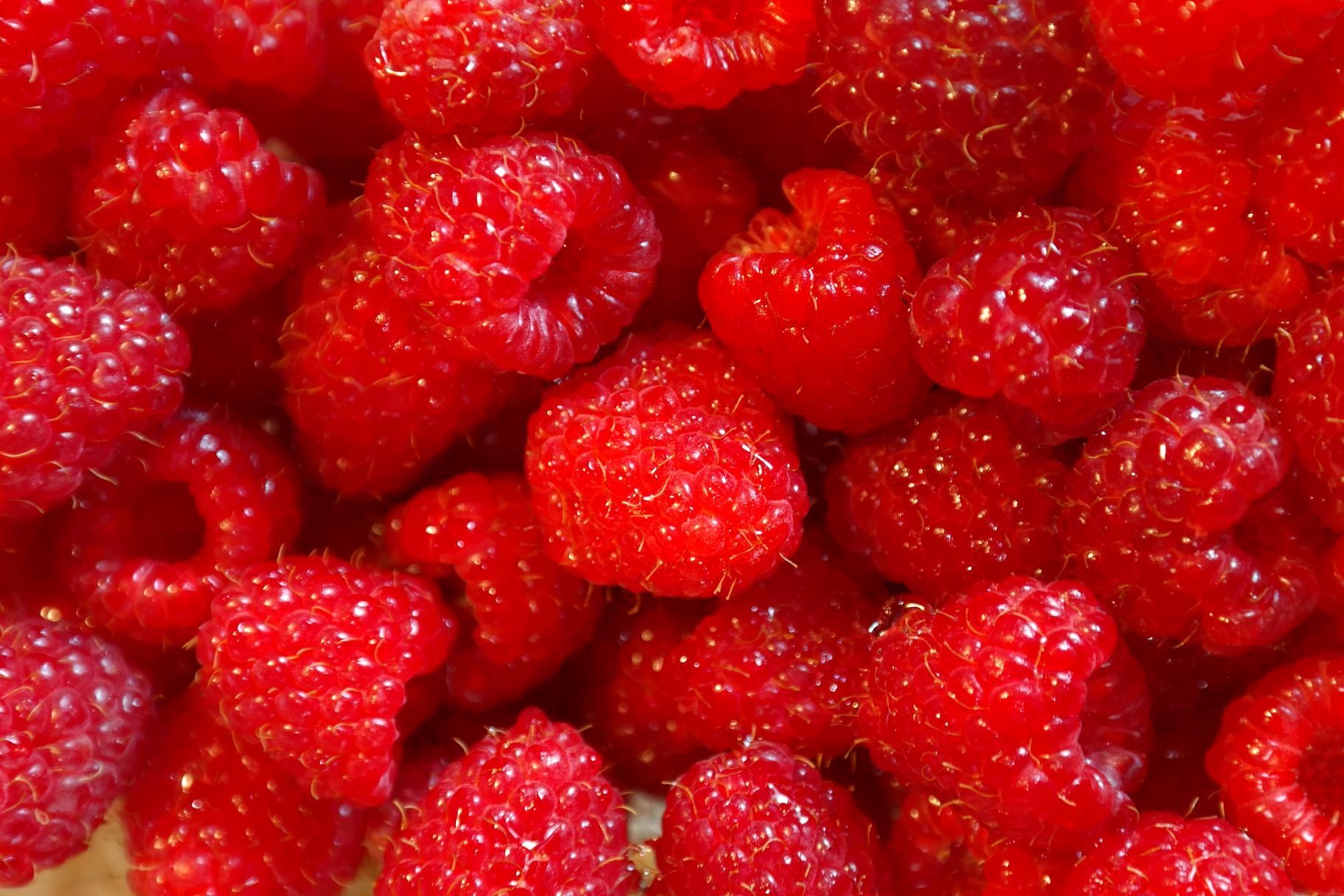 Free picture: raspberries, fruits, food, healthy, red fruits, fresh ...