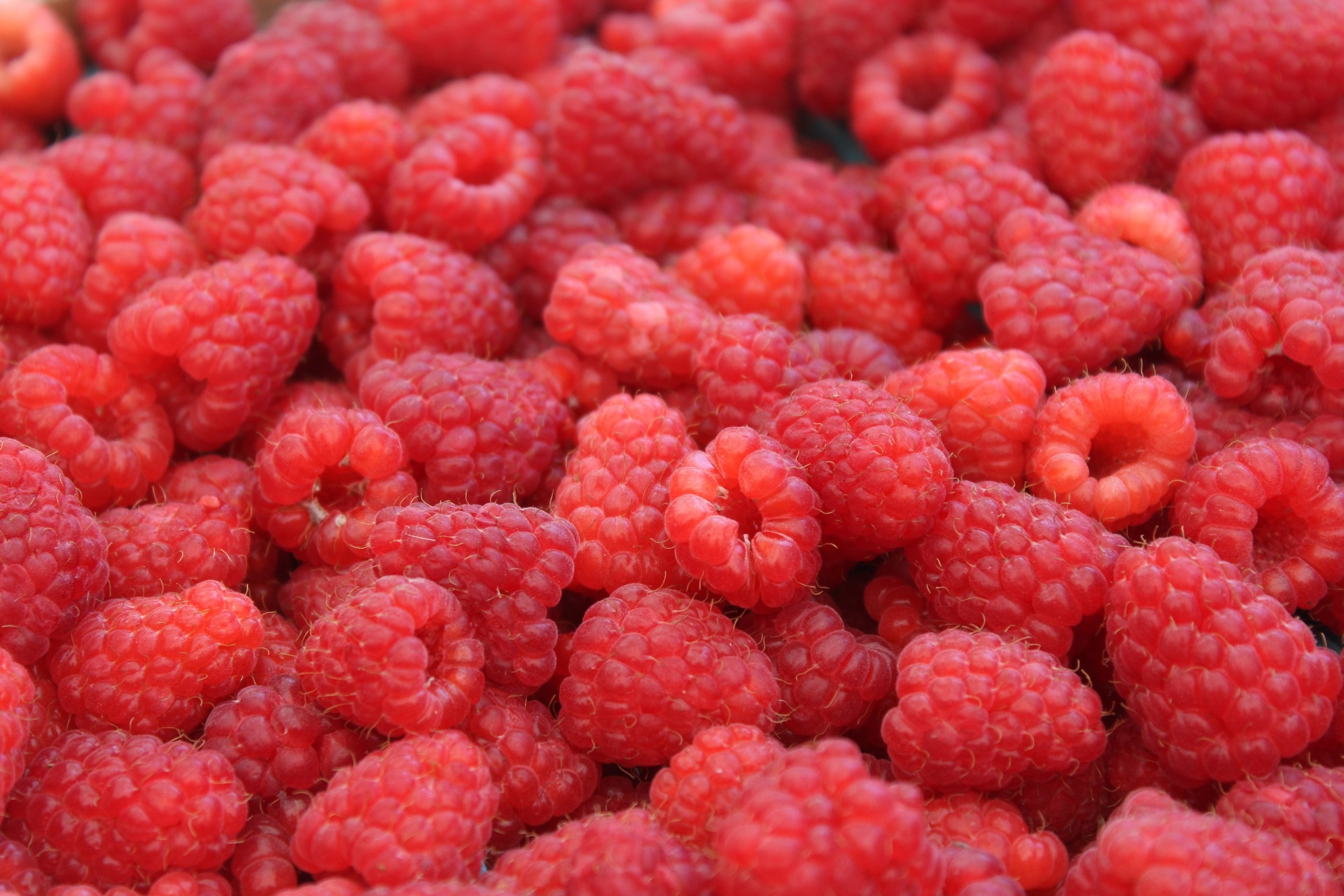 Fresh Raspberries Free Stock Photo - Public Domain Pictures
