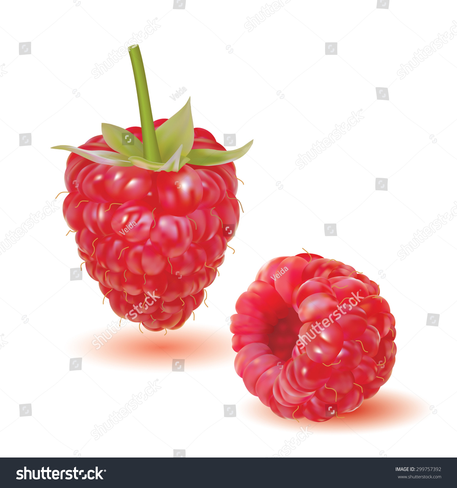 Red Ripe Fresh Raspberries Isolated On Stock Vector 299757392 ...