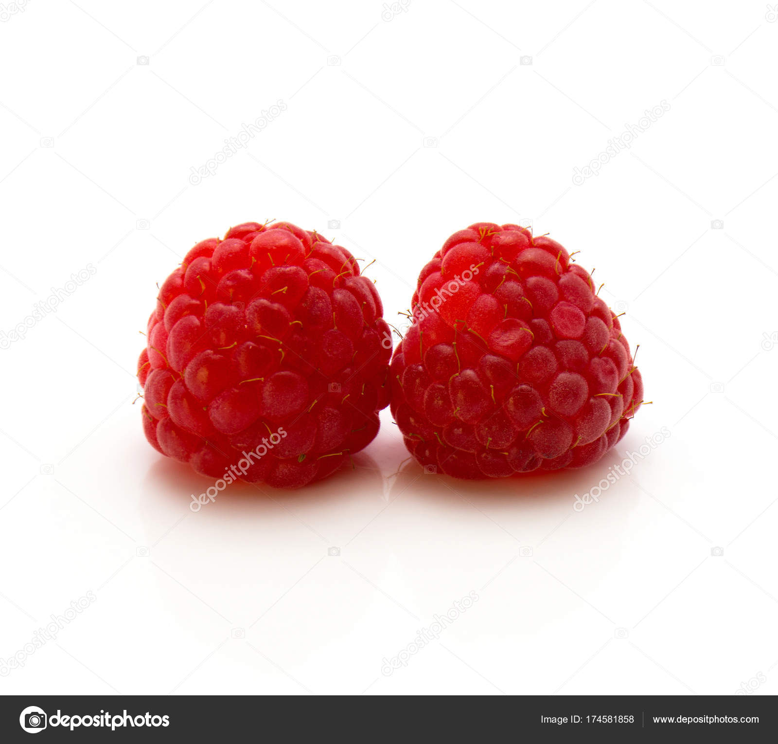 Fresh raspberry isolated — Stock Photo © kateryna.bibro@gmail.com ...