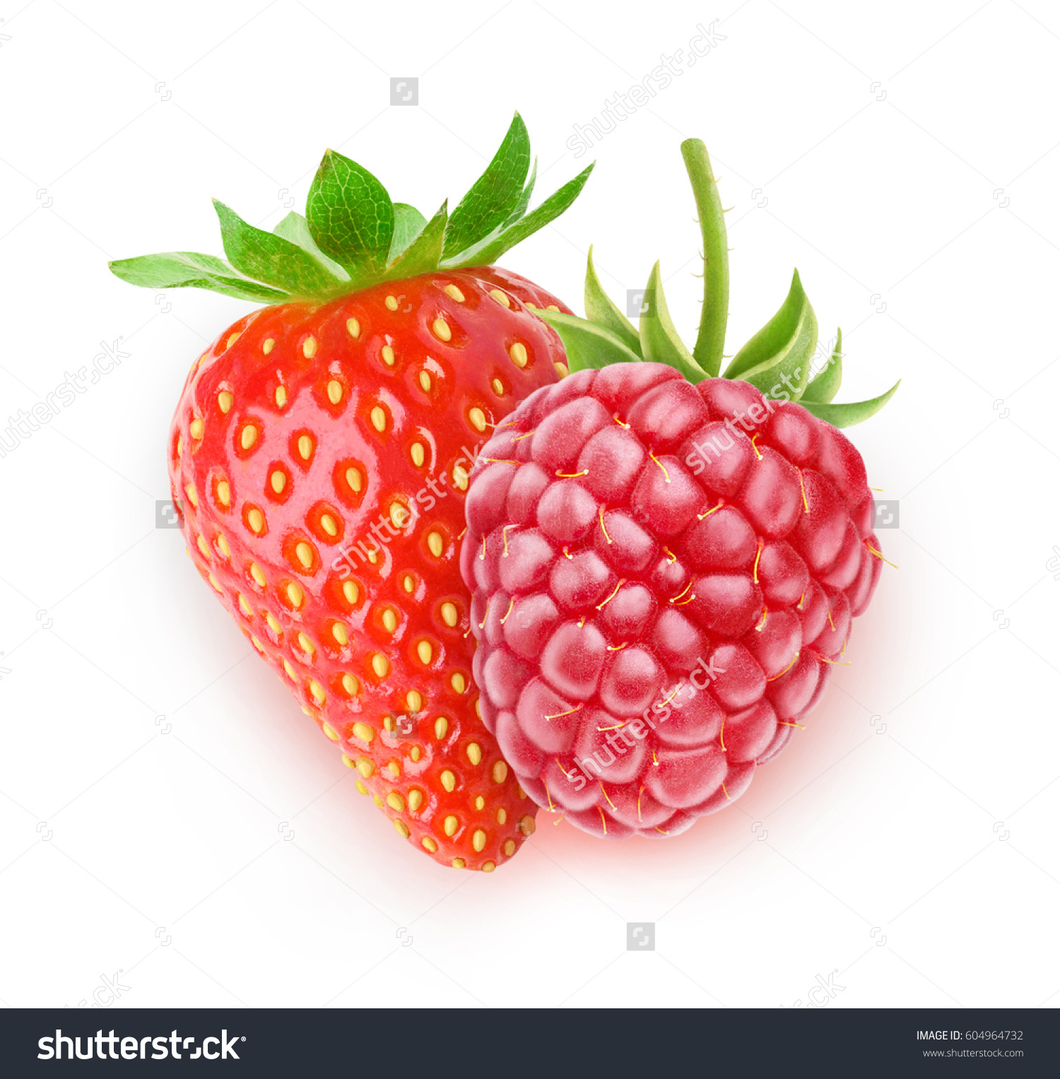 https://image.shutterstock.com/z/stock-photo-two-isolated-berries ...
