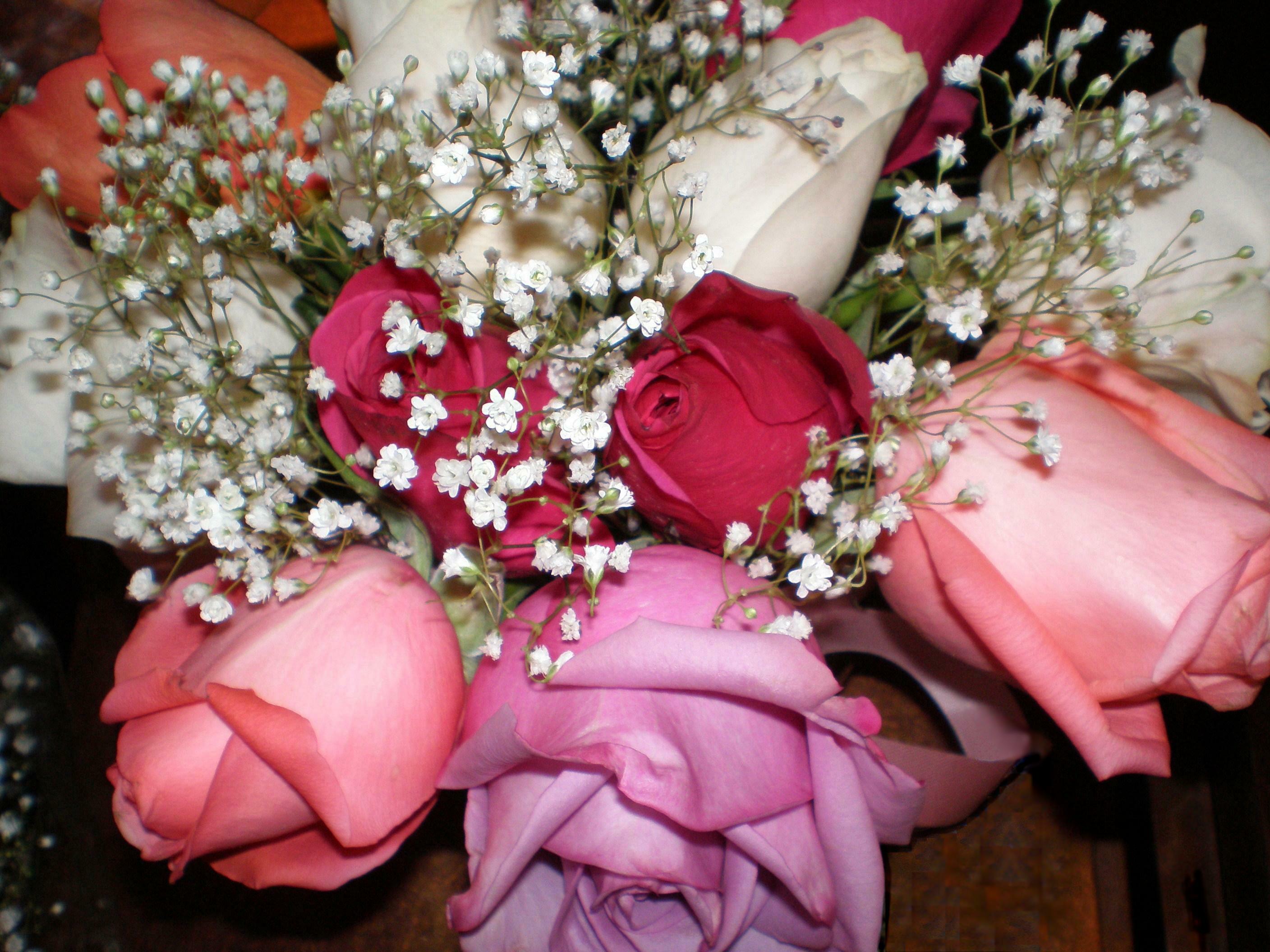 File:Fresh Rose Bouquet (2532775870).jpg - Wikimedia Commons