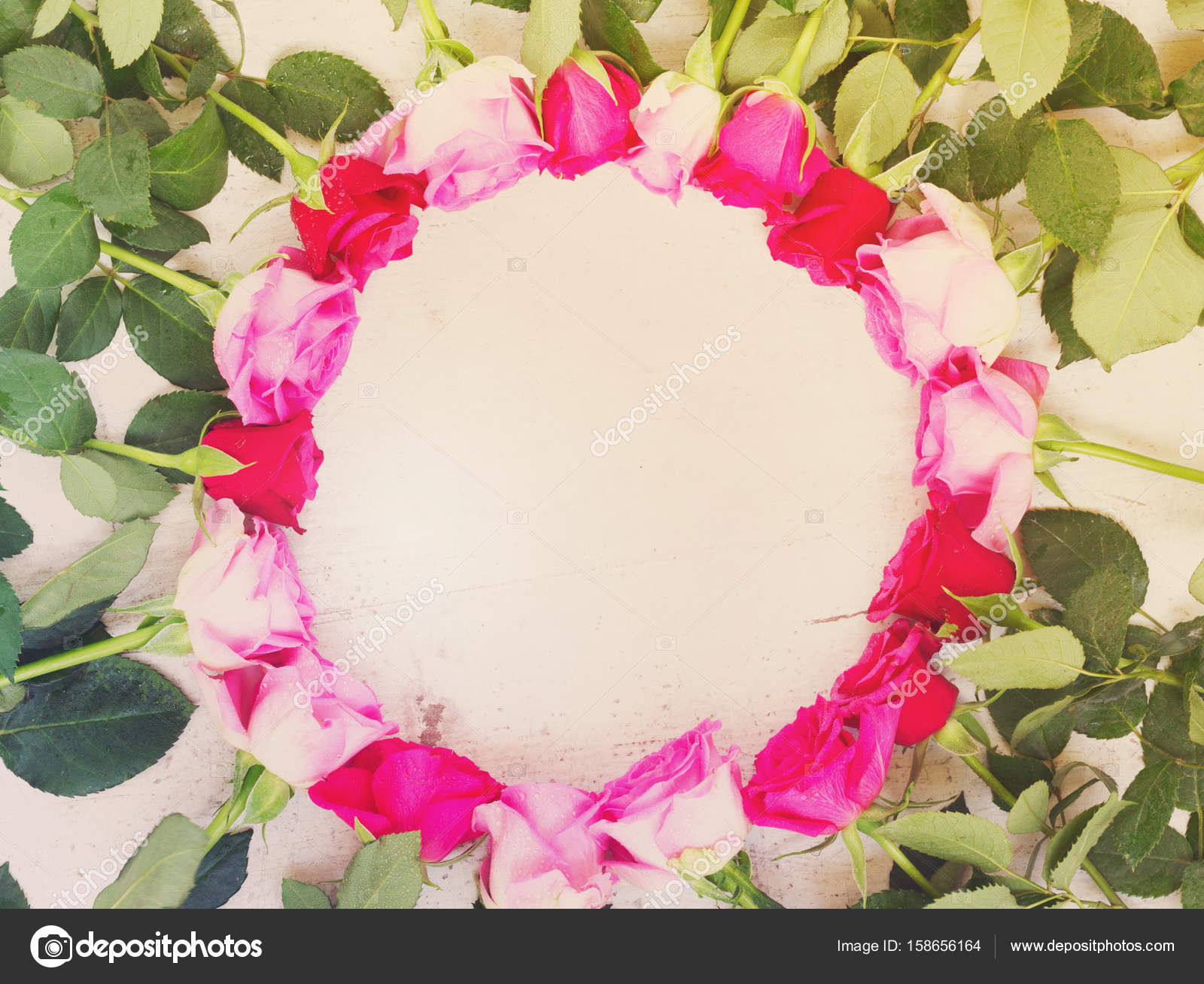 Pink fresh roses — Stock Photo © Neirfys #158656164