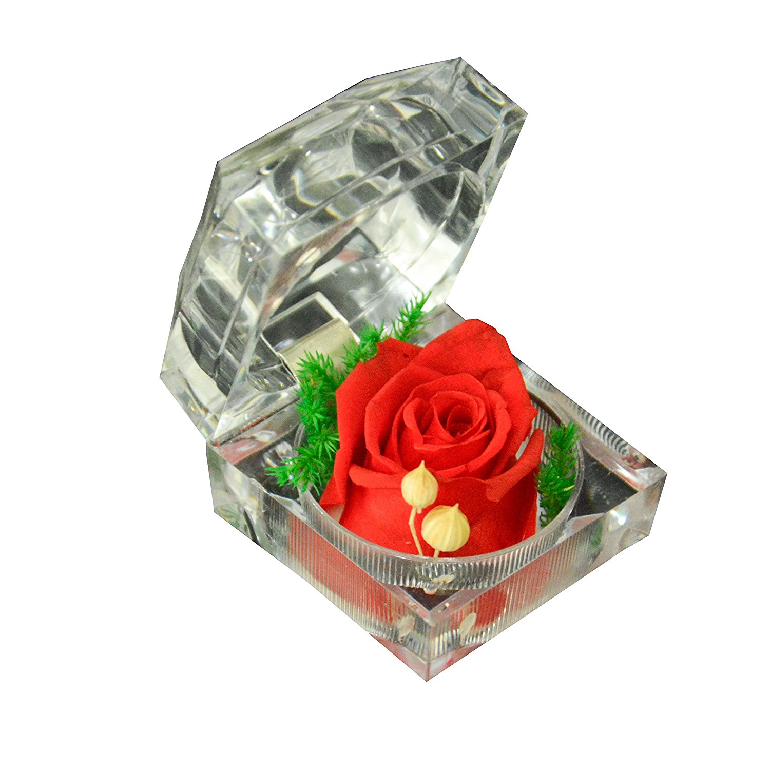 Amazon.com: Precious Preserved Fresh Rose in Crystal Ring Box ...