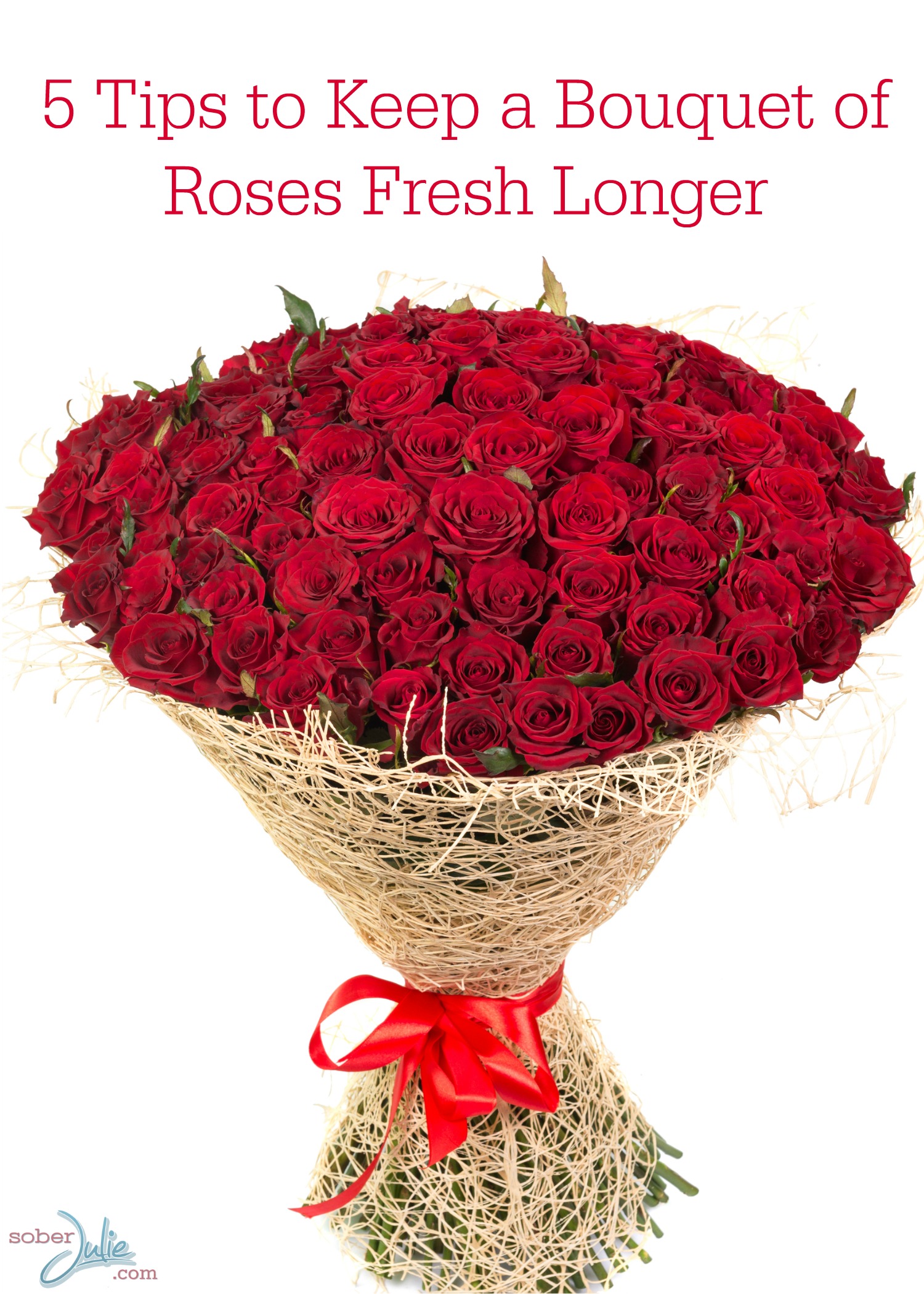 5 Tips to Keep a Bouquet of Roses Fresh Longer - Sober Julie