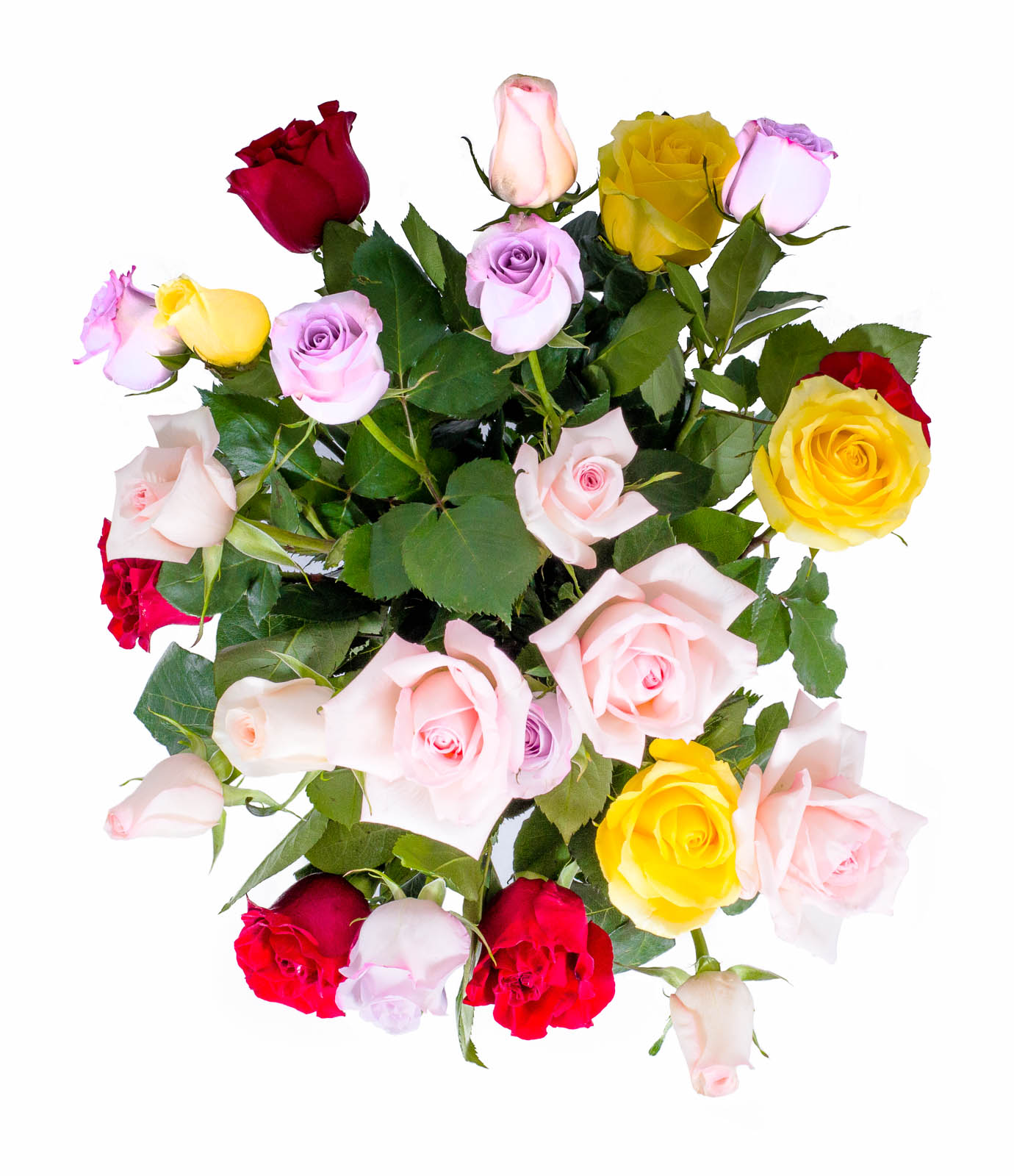 FLWERZ Two Dozen Fresh Roses Handcrafted Elegant Lux Floral ...