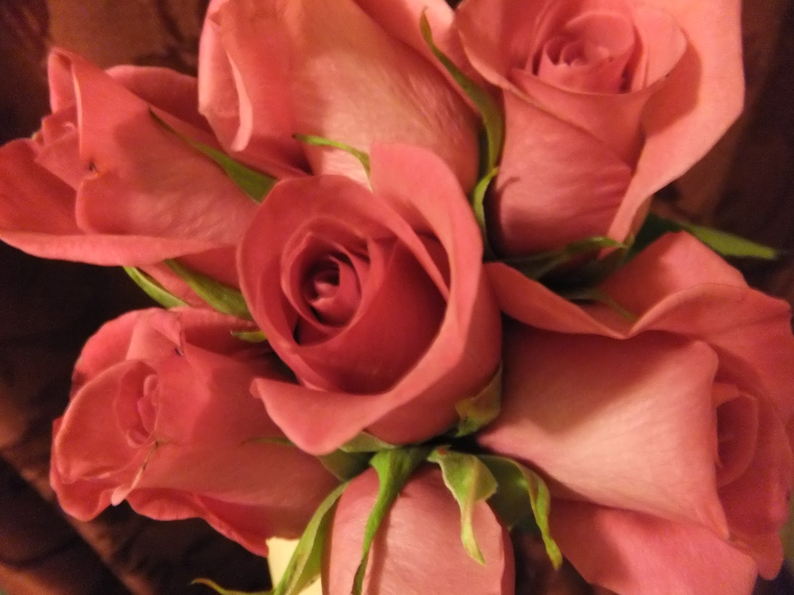 Julie The Garden Fairy: Selecting Fresh Roses for Your Valentine