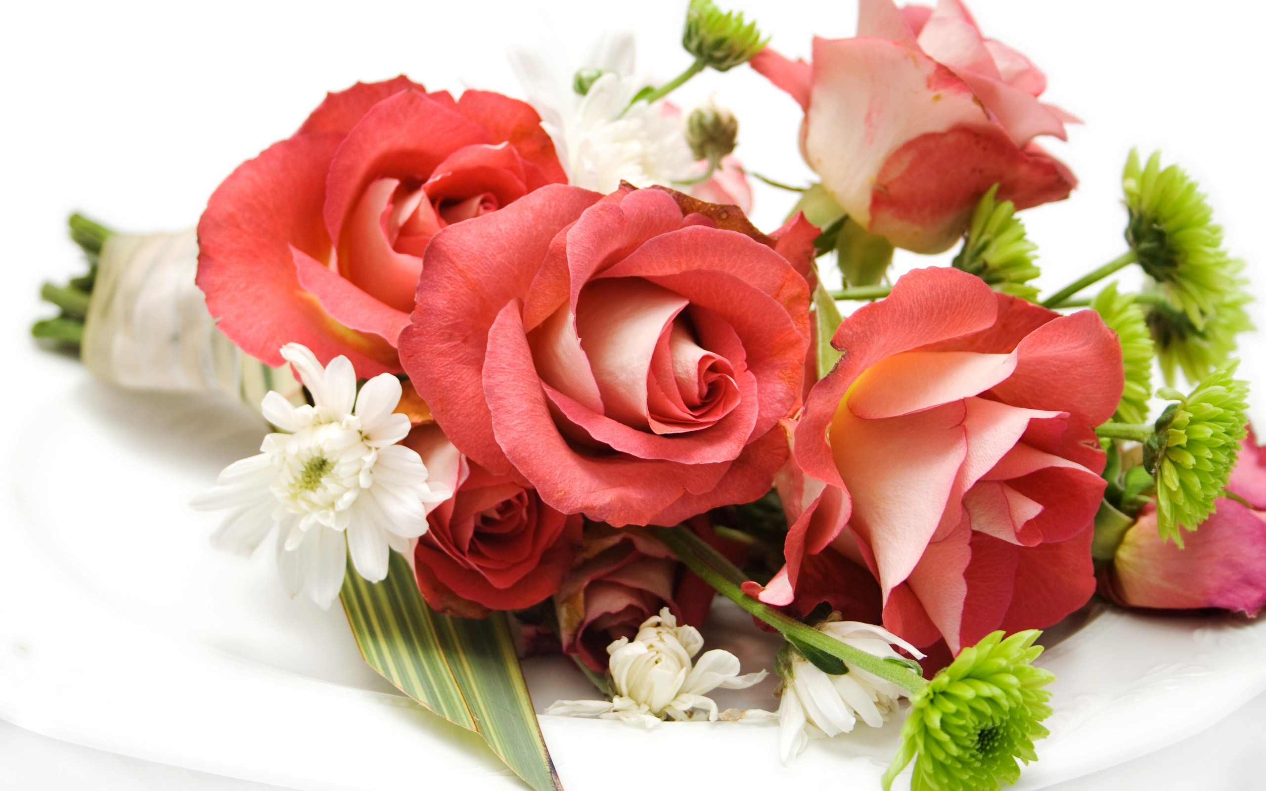 Flowers: Nice Fresh Roses Lovely Rose Hd Flower Wallpaper For Mobile ...