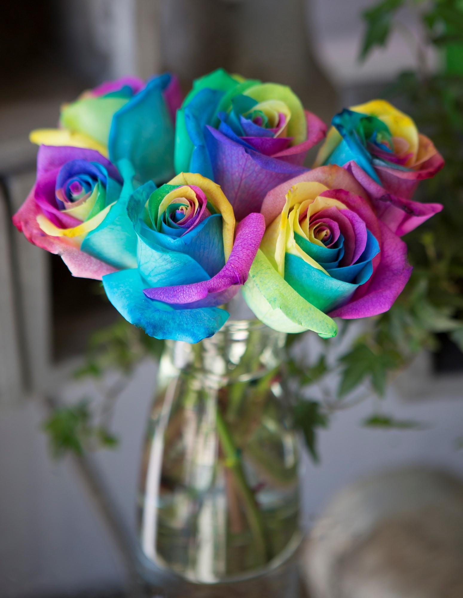 Amazon.com : KaBloom Bouquet of Fresh Cut Rainbow Roses: 6 Rainbow ...
