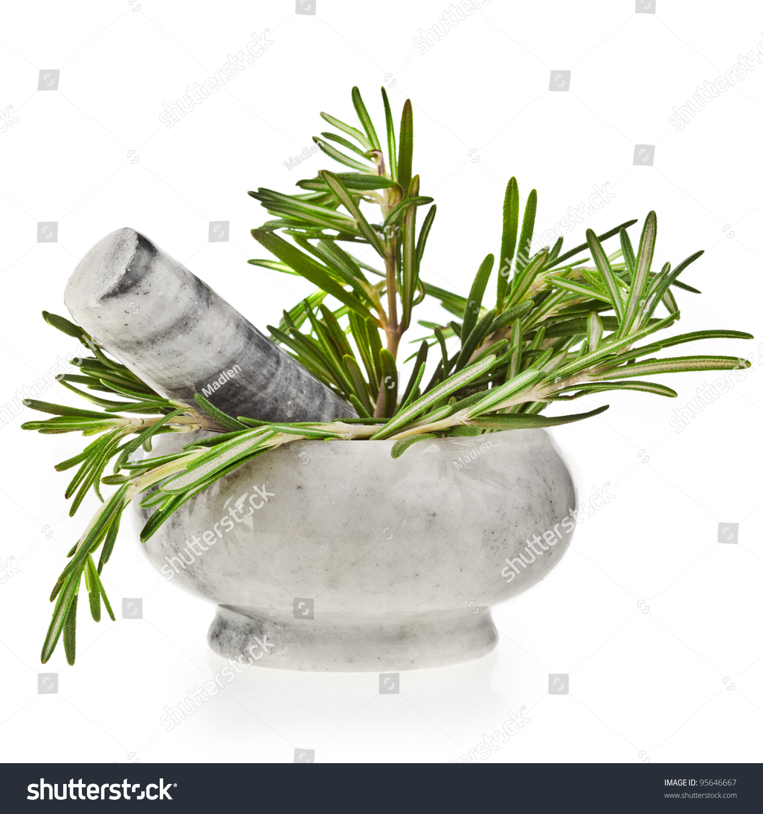 Marble Mortar Fresh Rosemary Herb Sprigs Stock Photo (Royalty Free ...