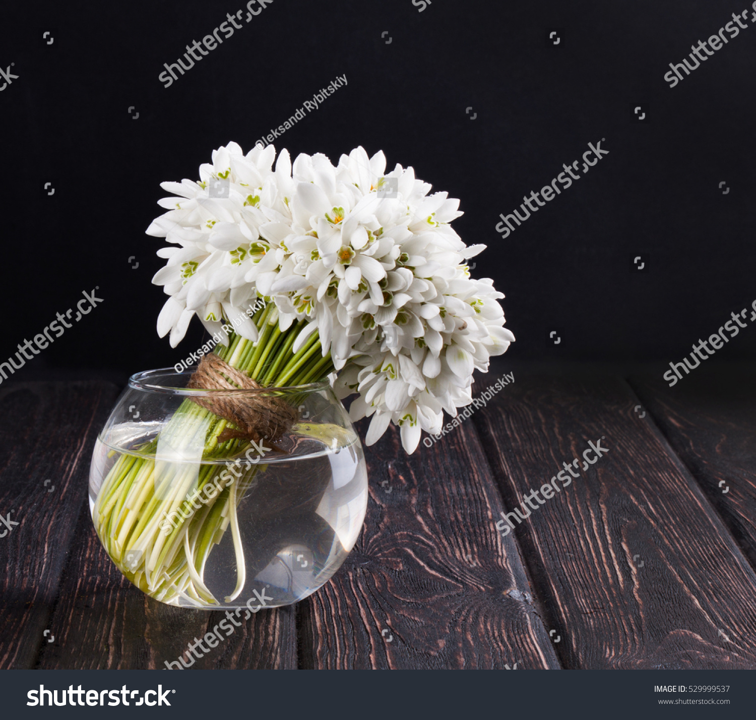 Fresh Snowdrop Vase On Wood Desk Stock Photo (Royalty Free ...