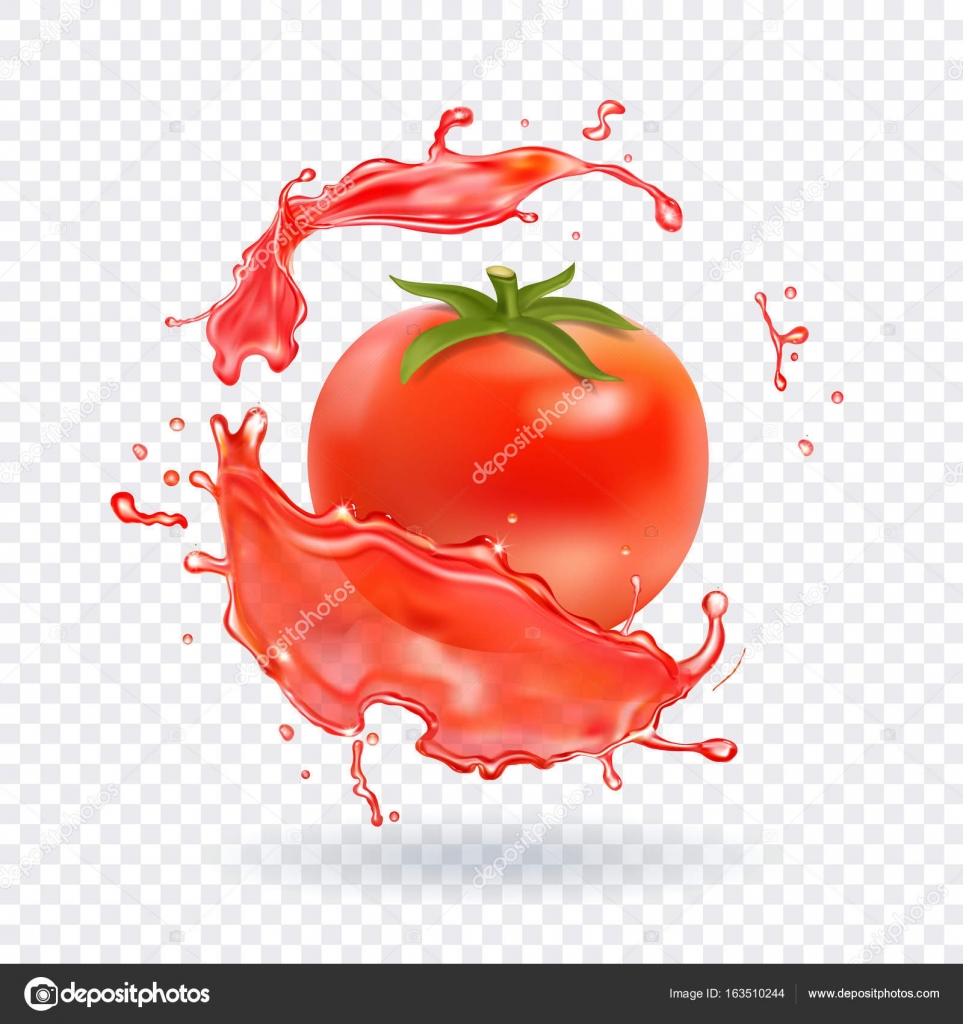 Tomato juice Fresh splash. Realistic icon — Stock Vector © Lightkite ...